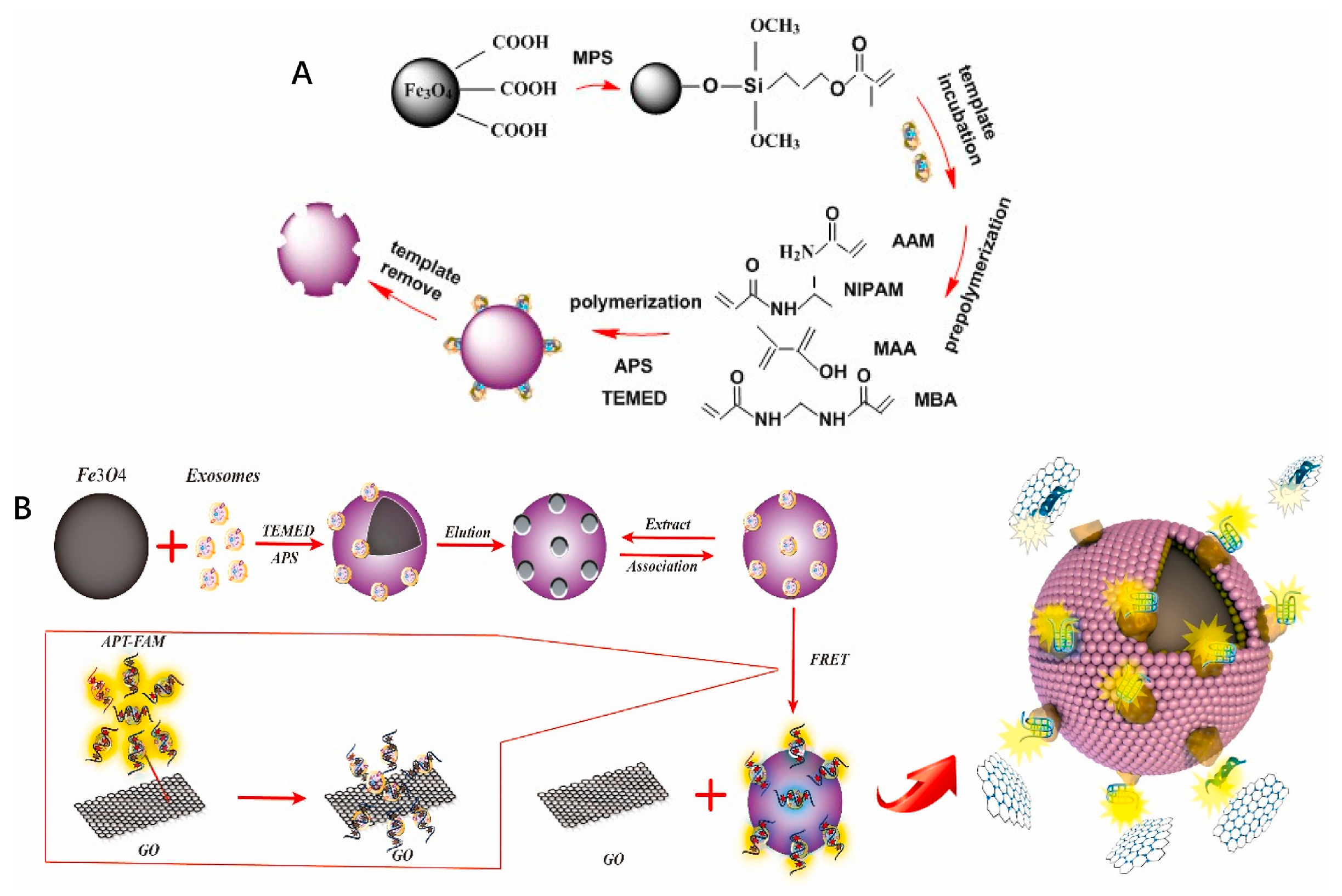 Biosensors 15 00511 g026 Biosensors 15 00511 g026