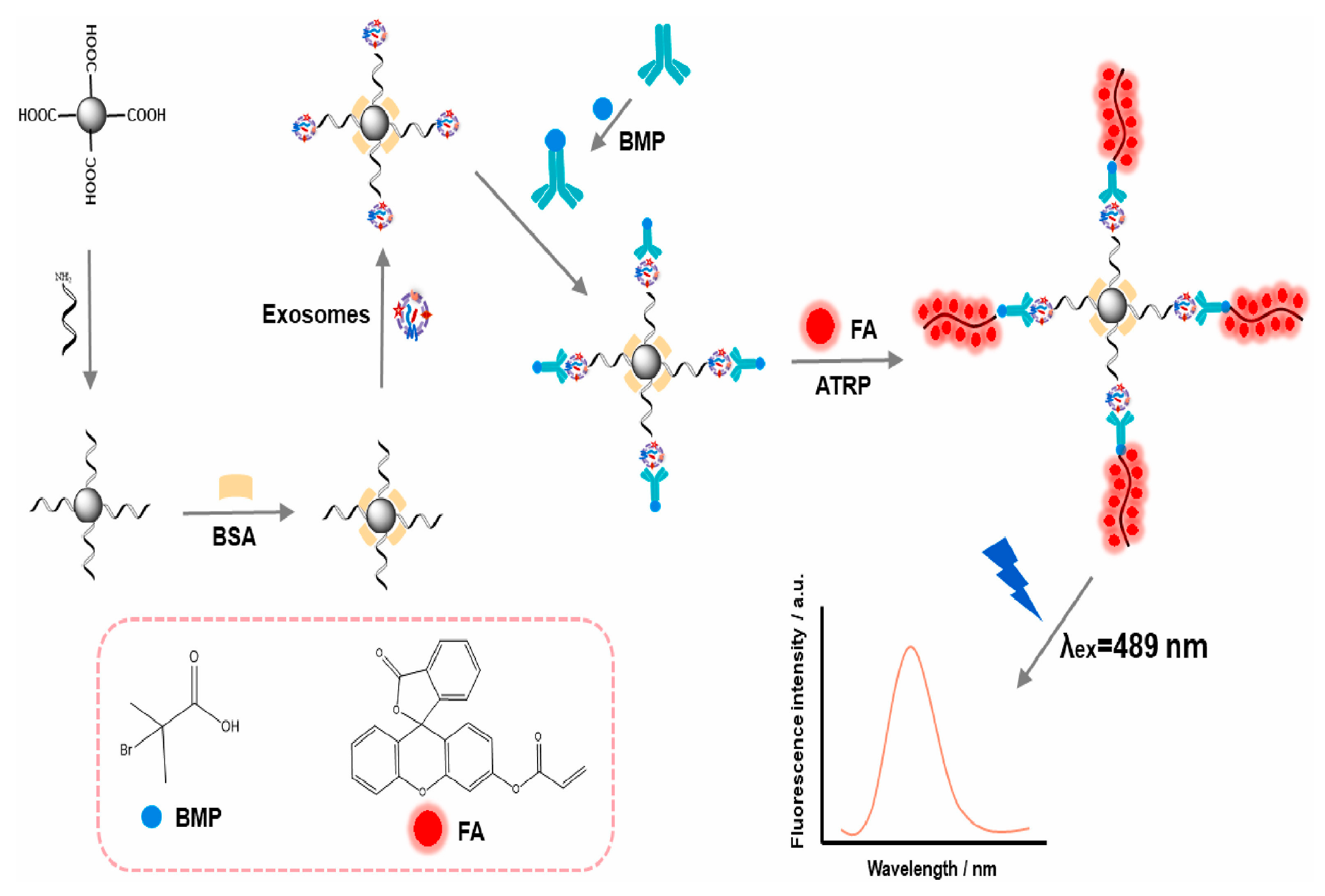 Biosensors 15 00511 g027 Biosensors 15 00511 g027