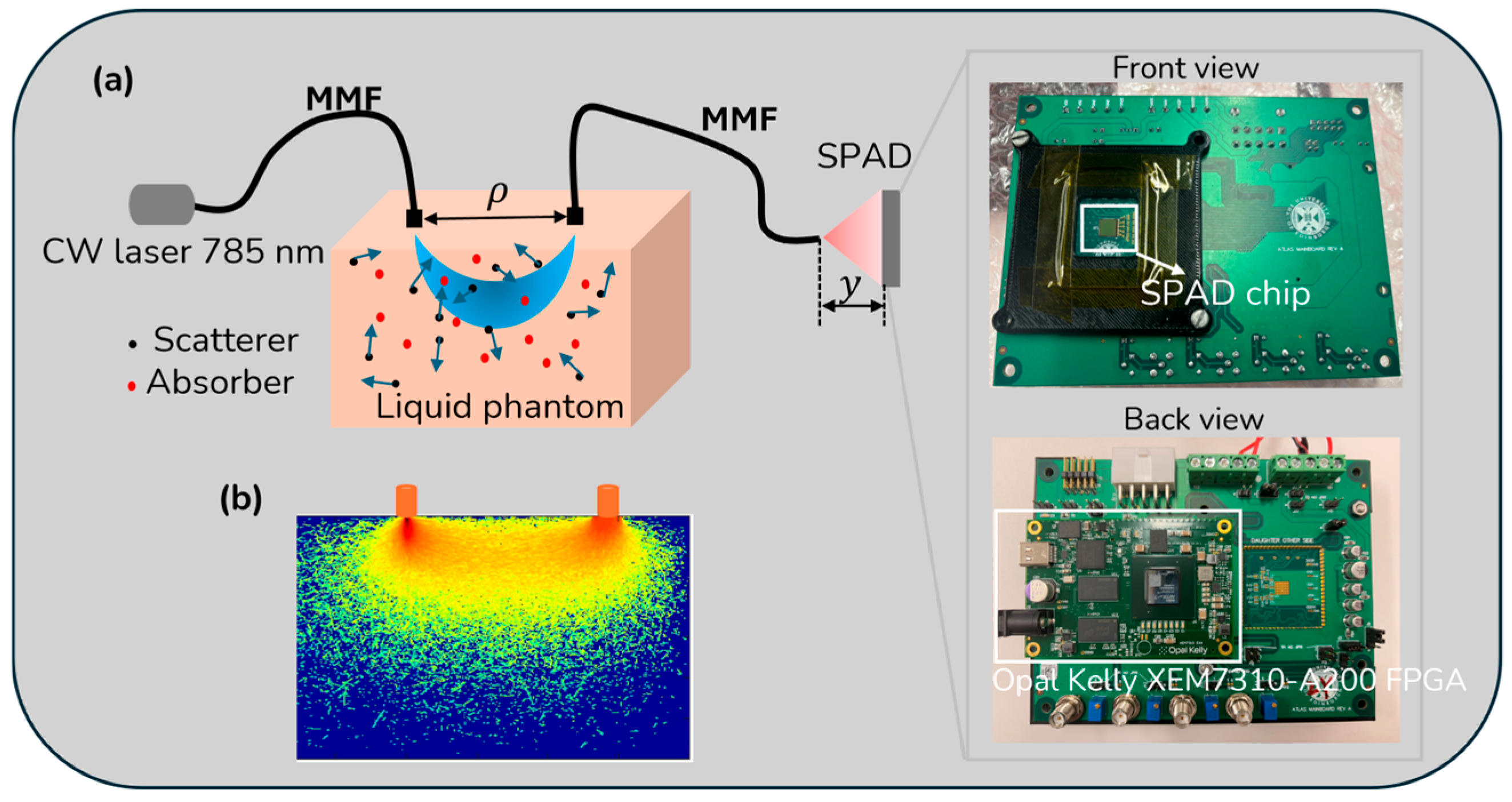 Biosensors 15 00514 g002