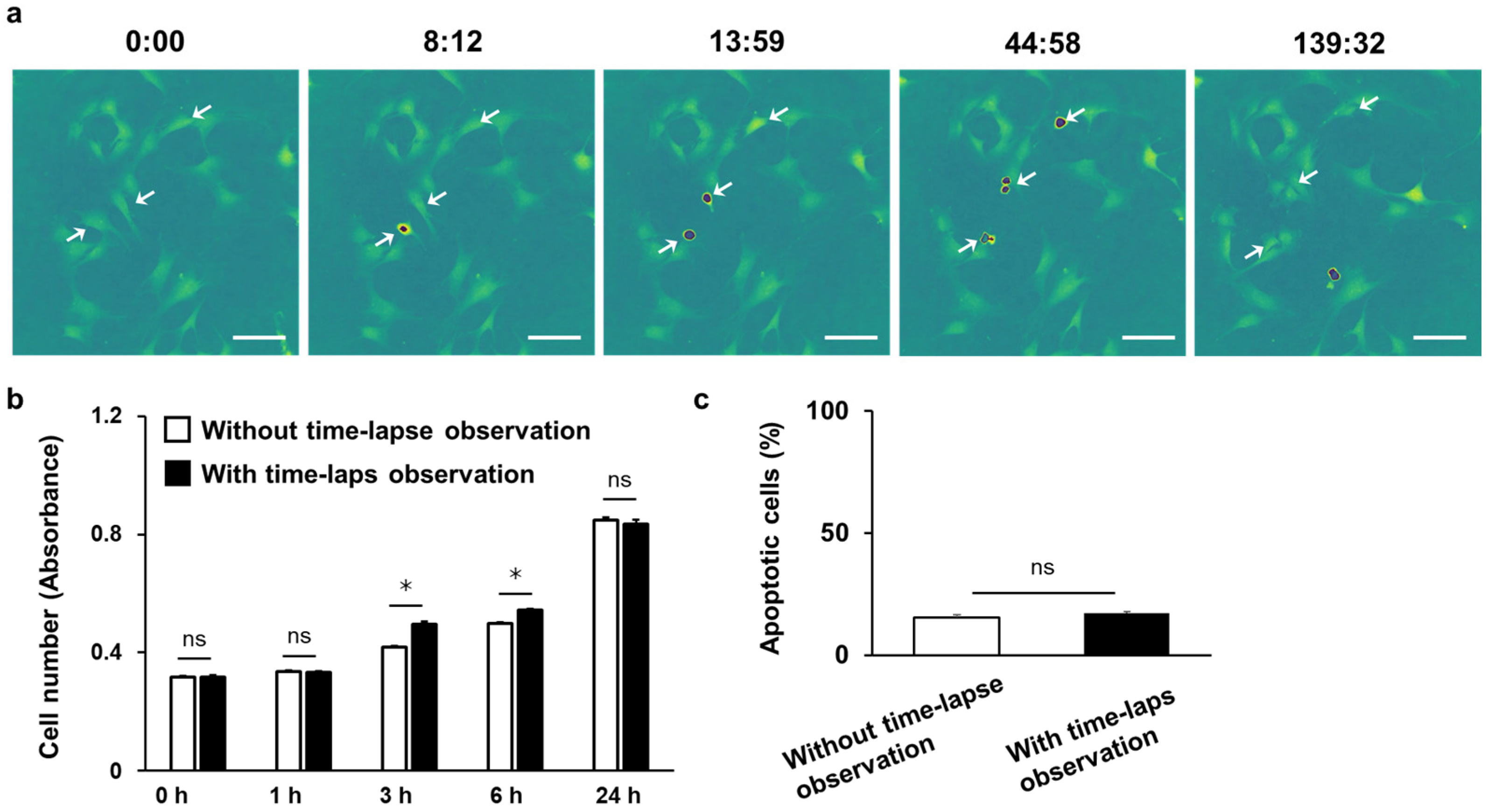 Biosensors 15 00515 g007