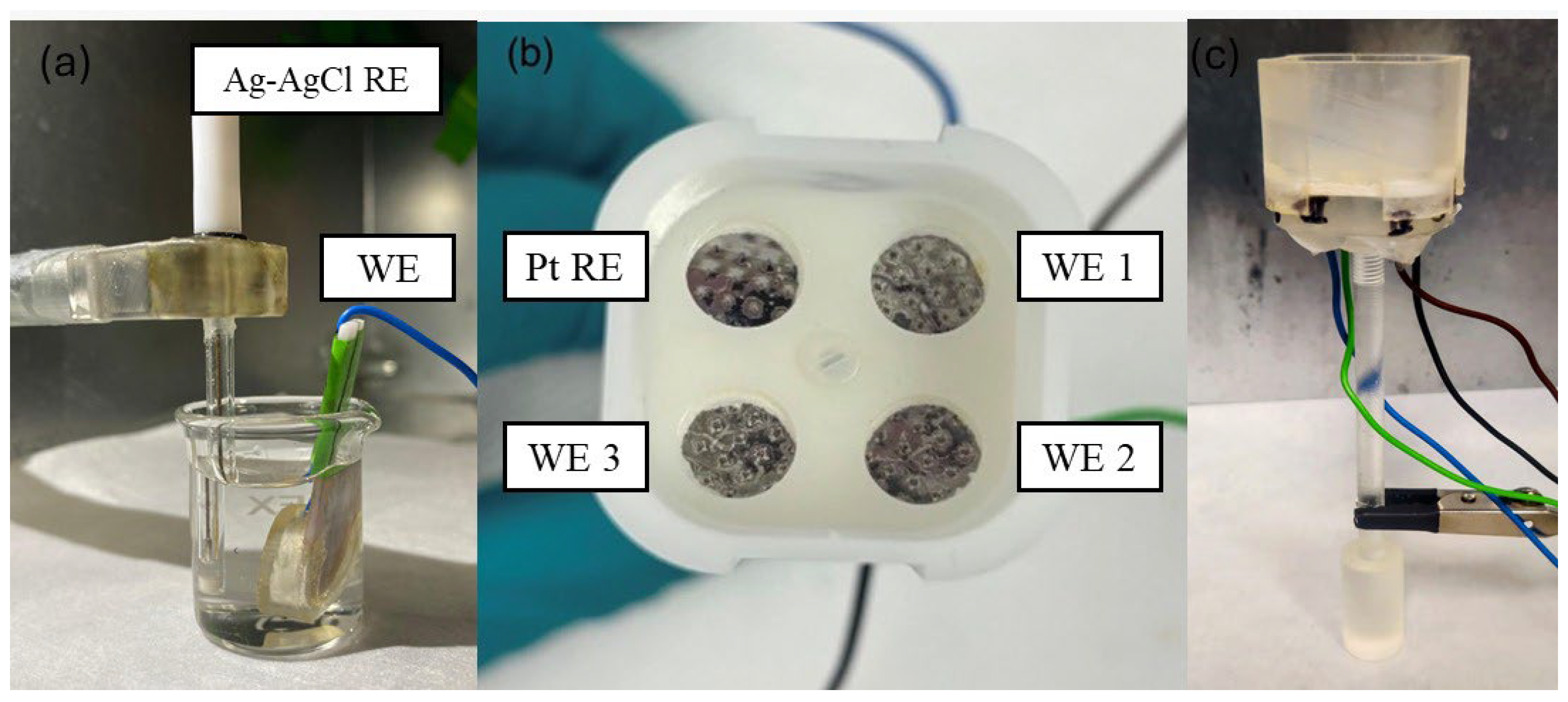 Biosensors 15 00517 g002
