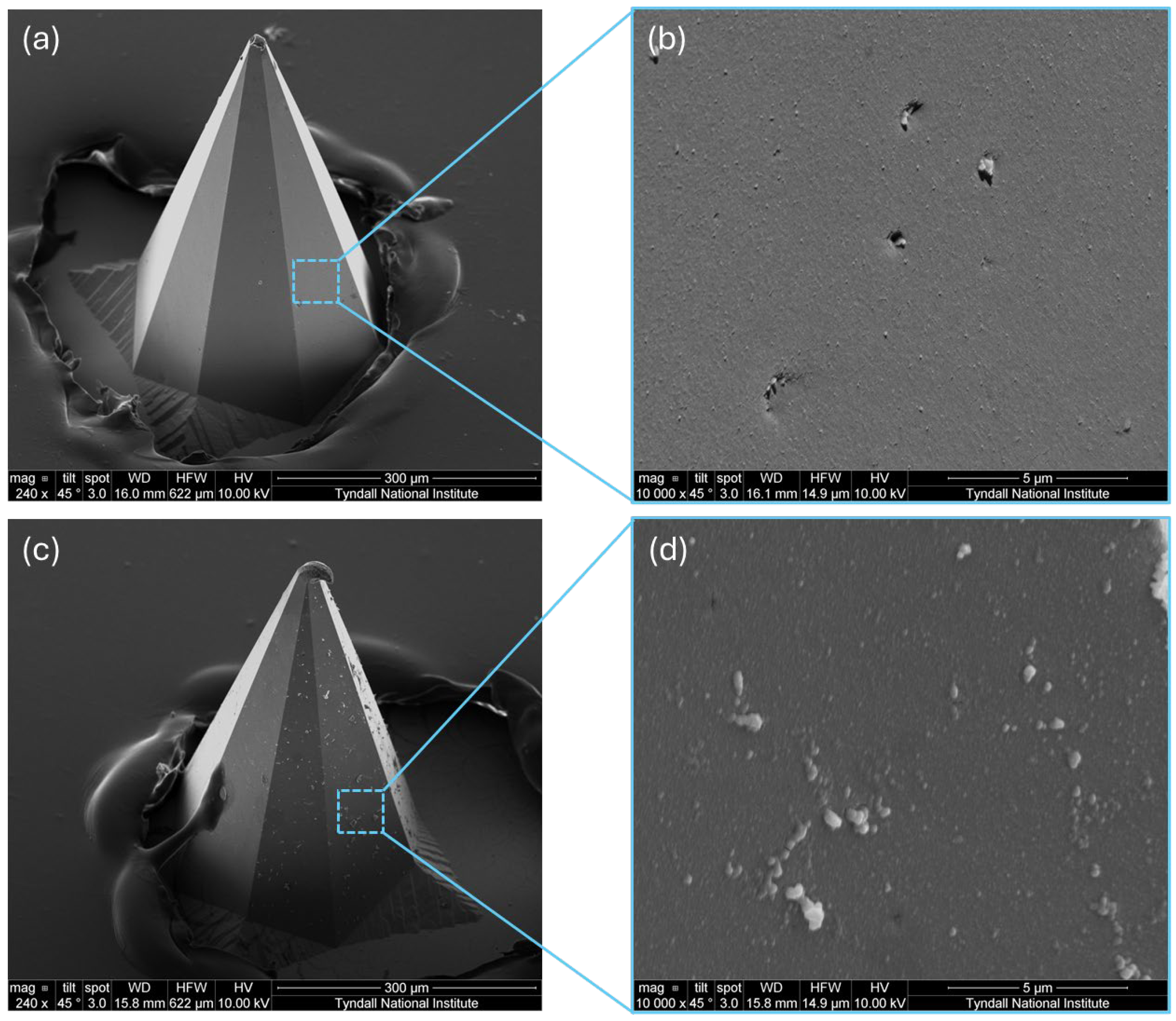 Biosensors 15 00517 g003