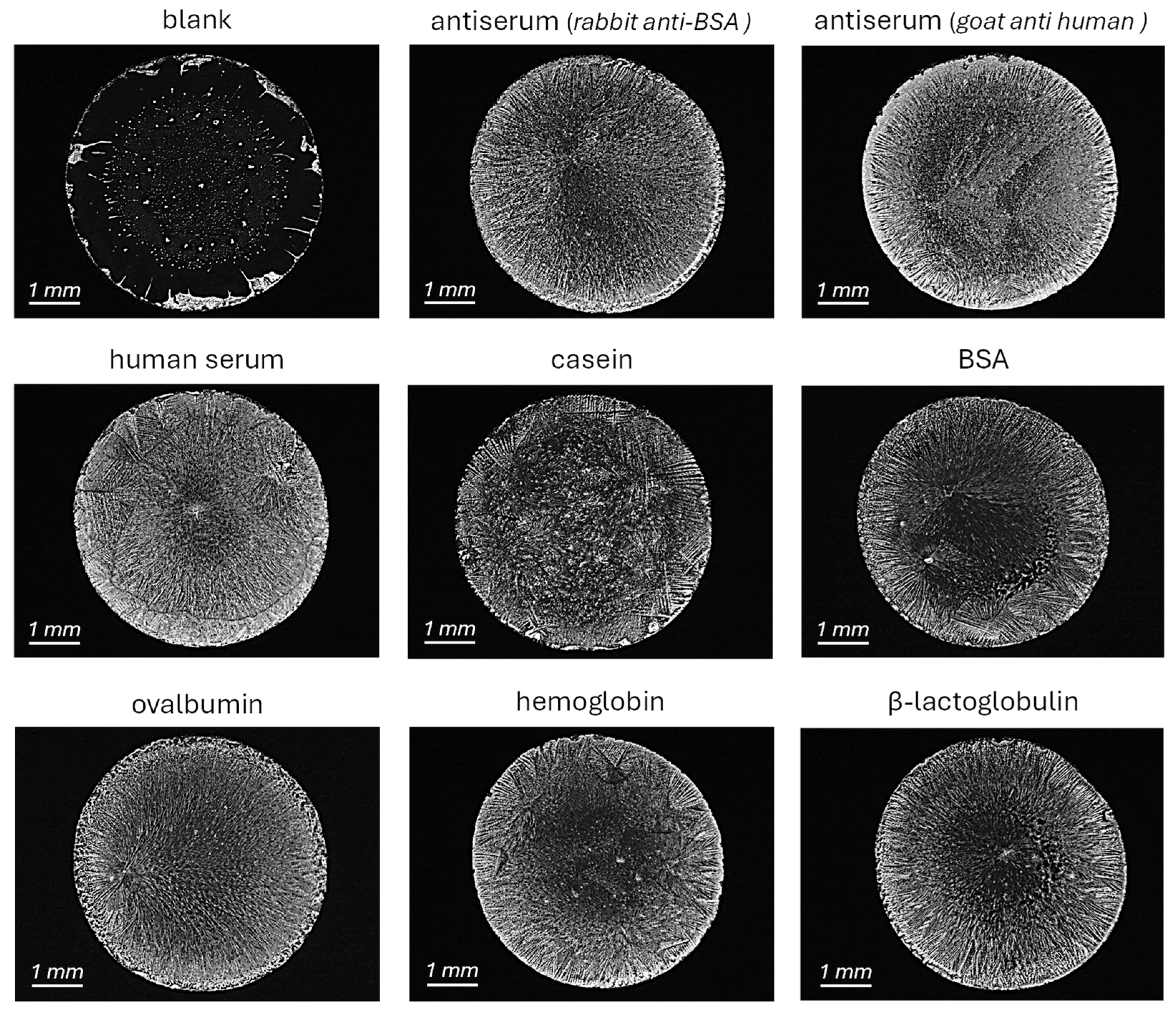 Biosensors 15 00520 g003