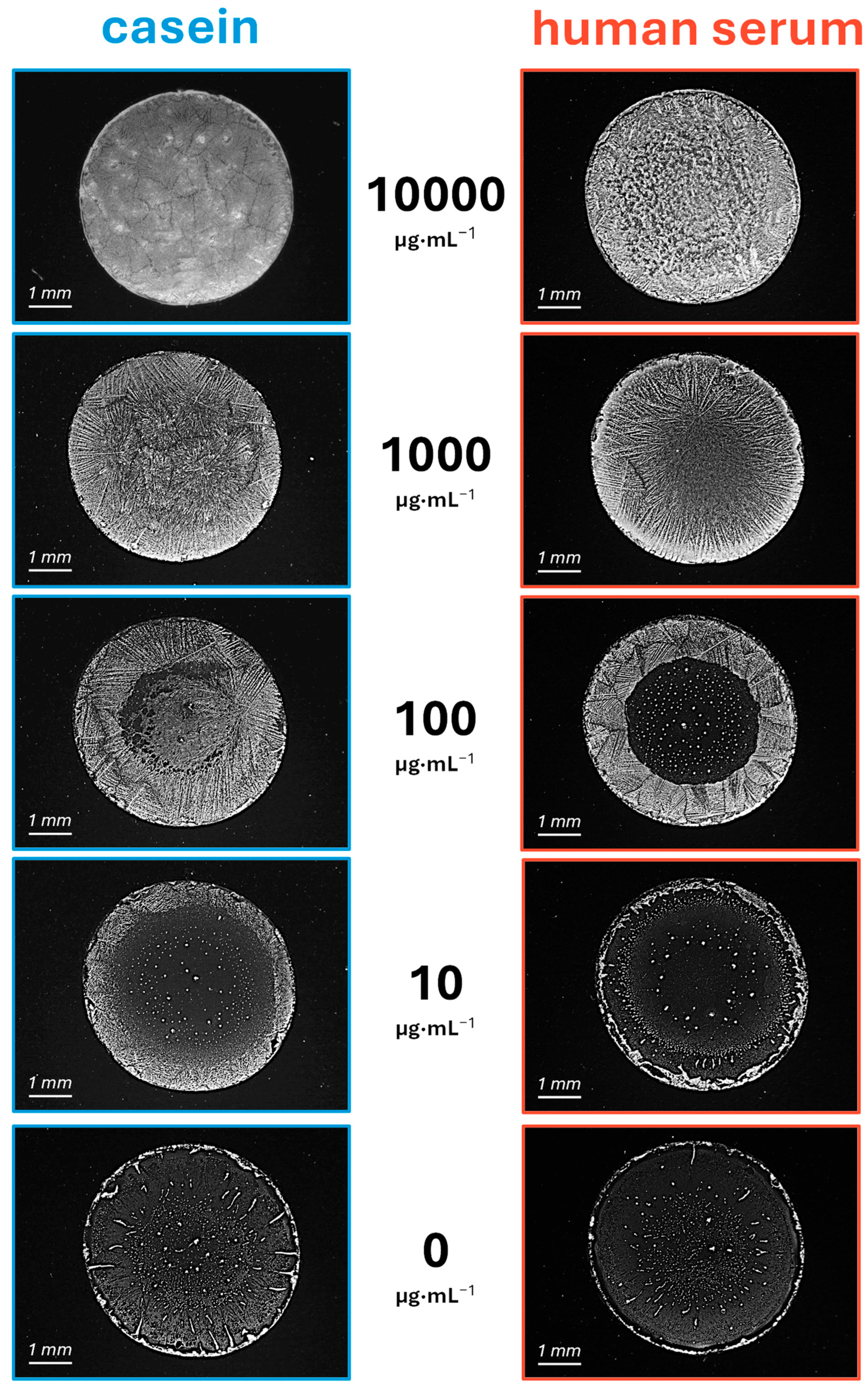 Biosensors 15 00520 g004