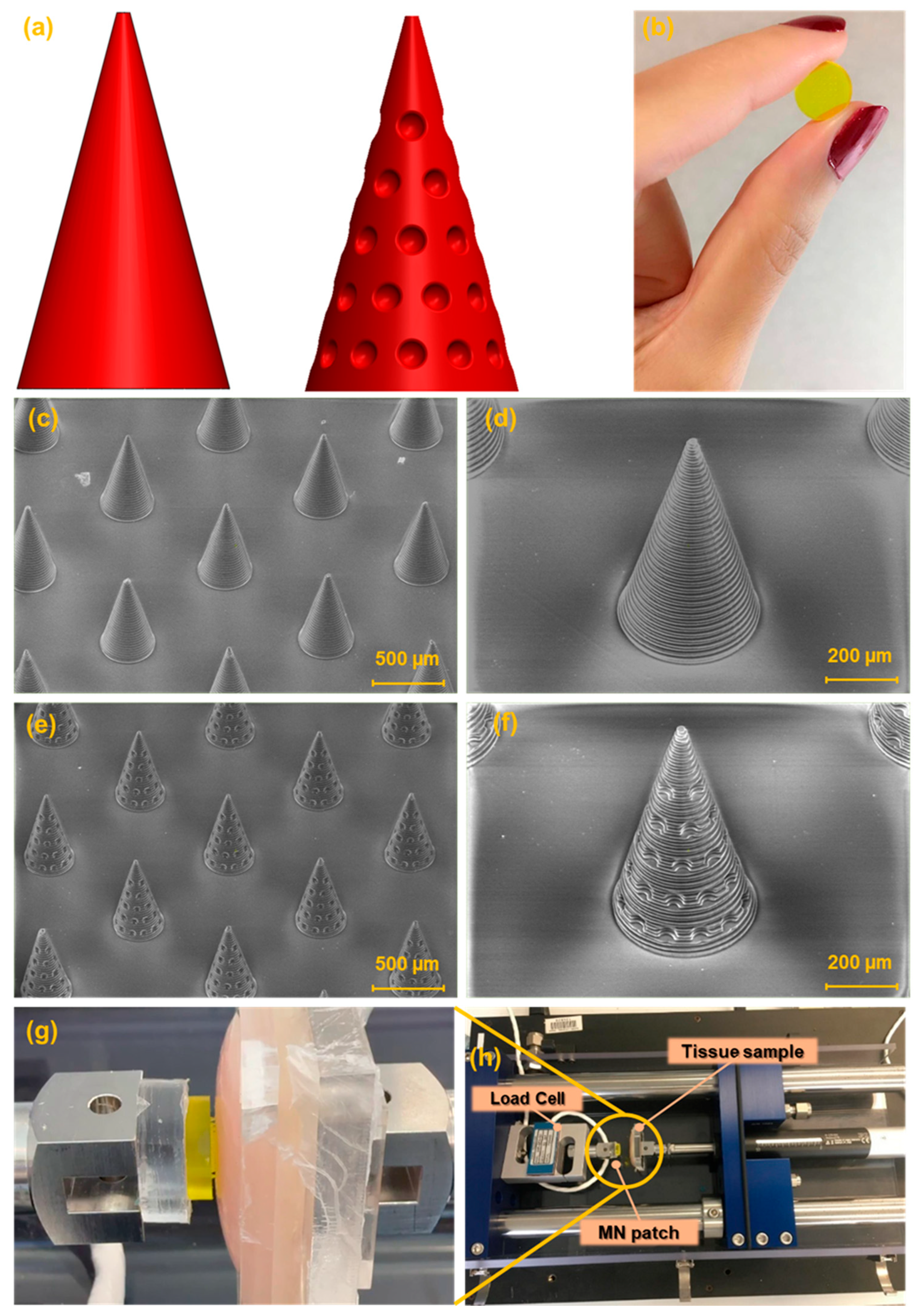 Biosensors 15 00521 g002
