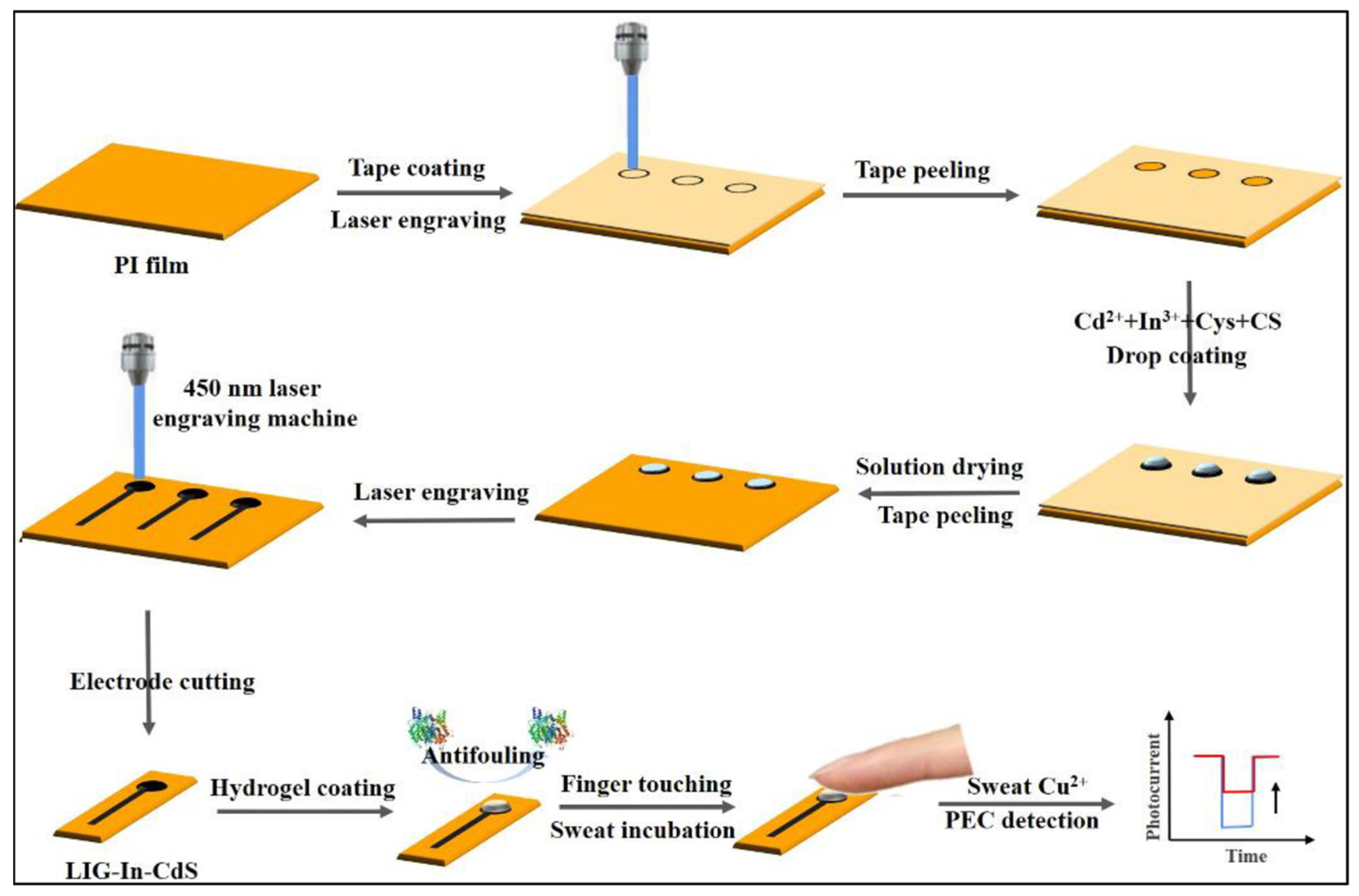 Biosensors 15 00524 g002