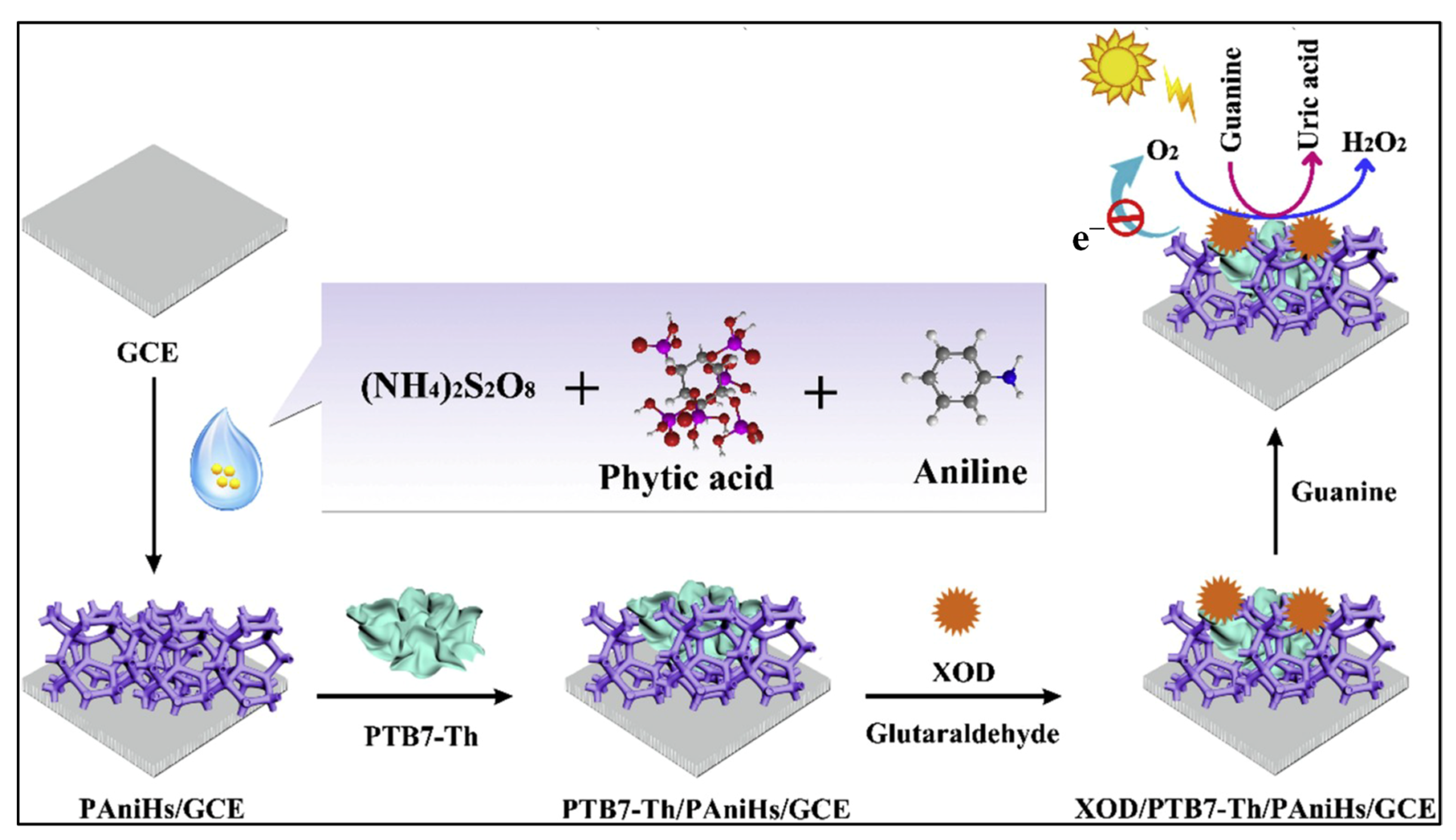 Biosensors 15 00524 g004