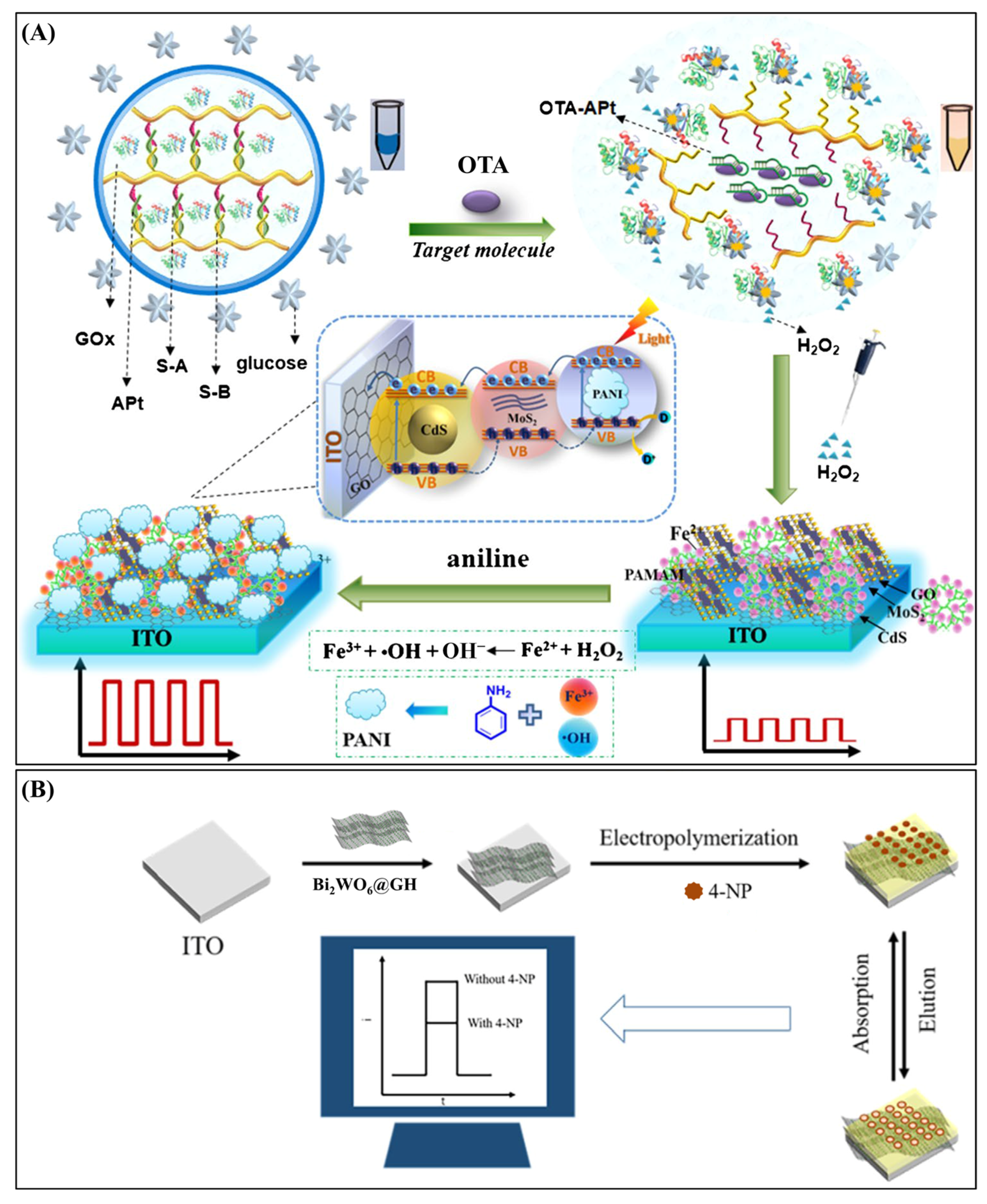 Biosensors 15 00524 g006