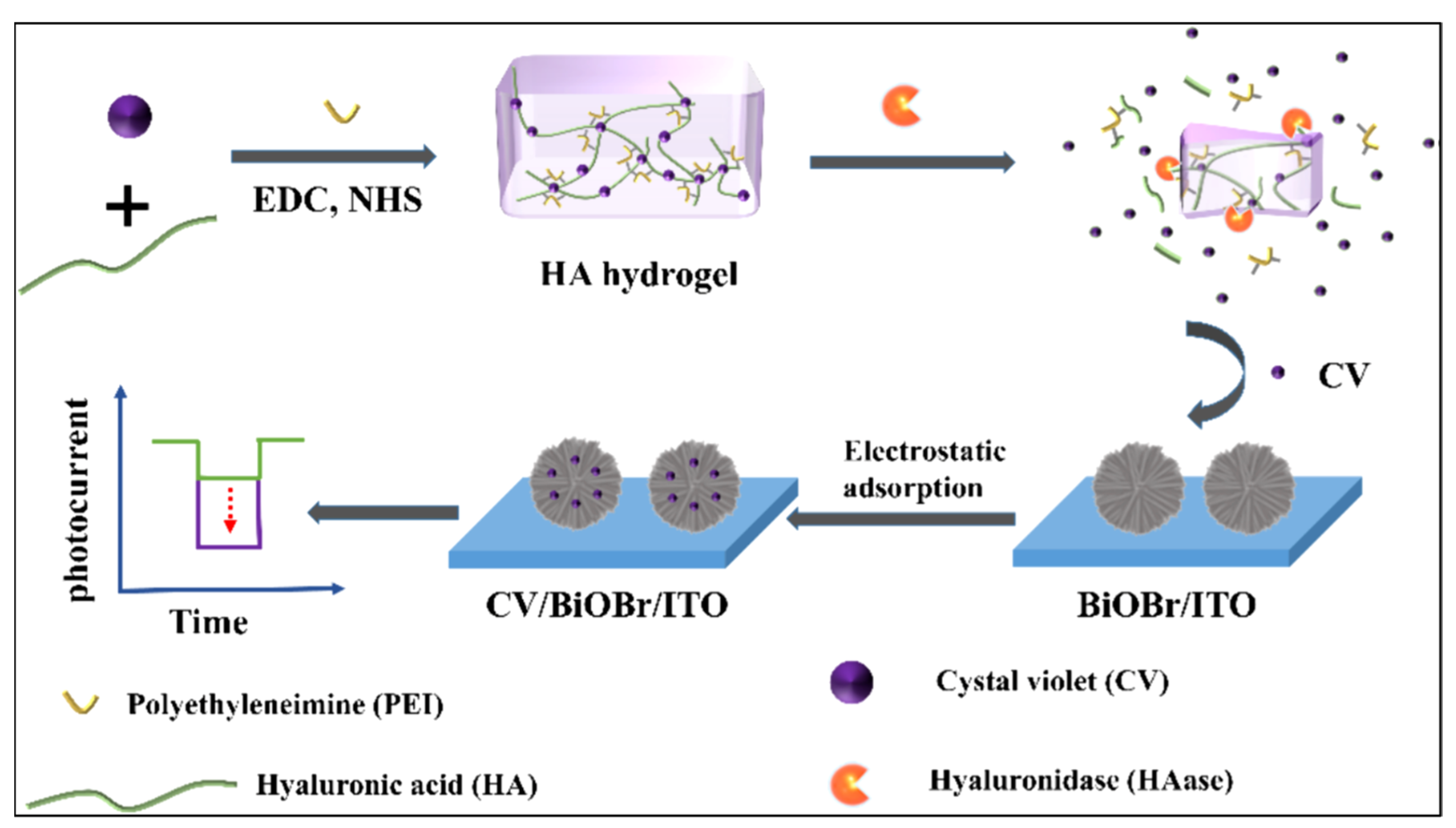 Biosensors 15 00524 g010