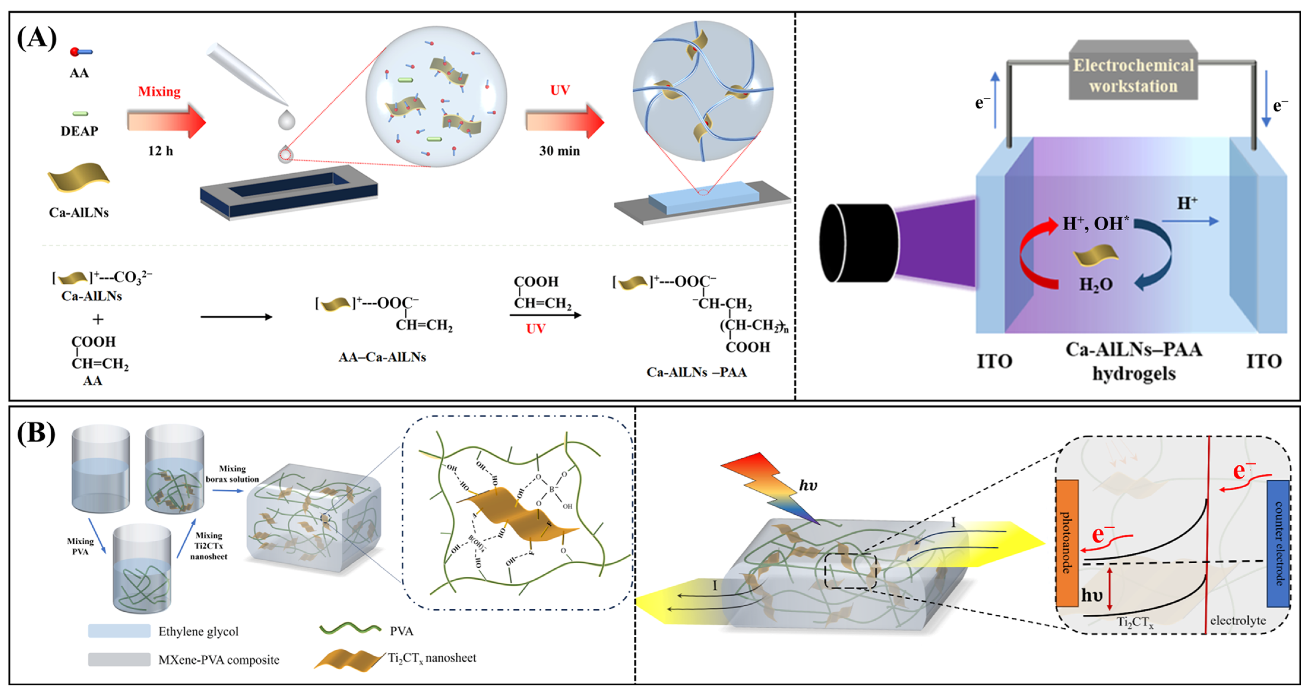 Biosensors 15 00524 g011