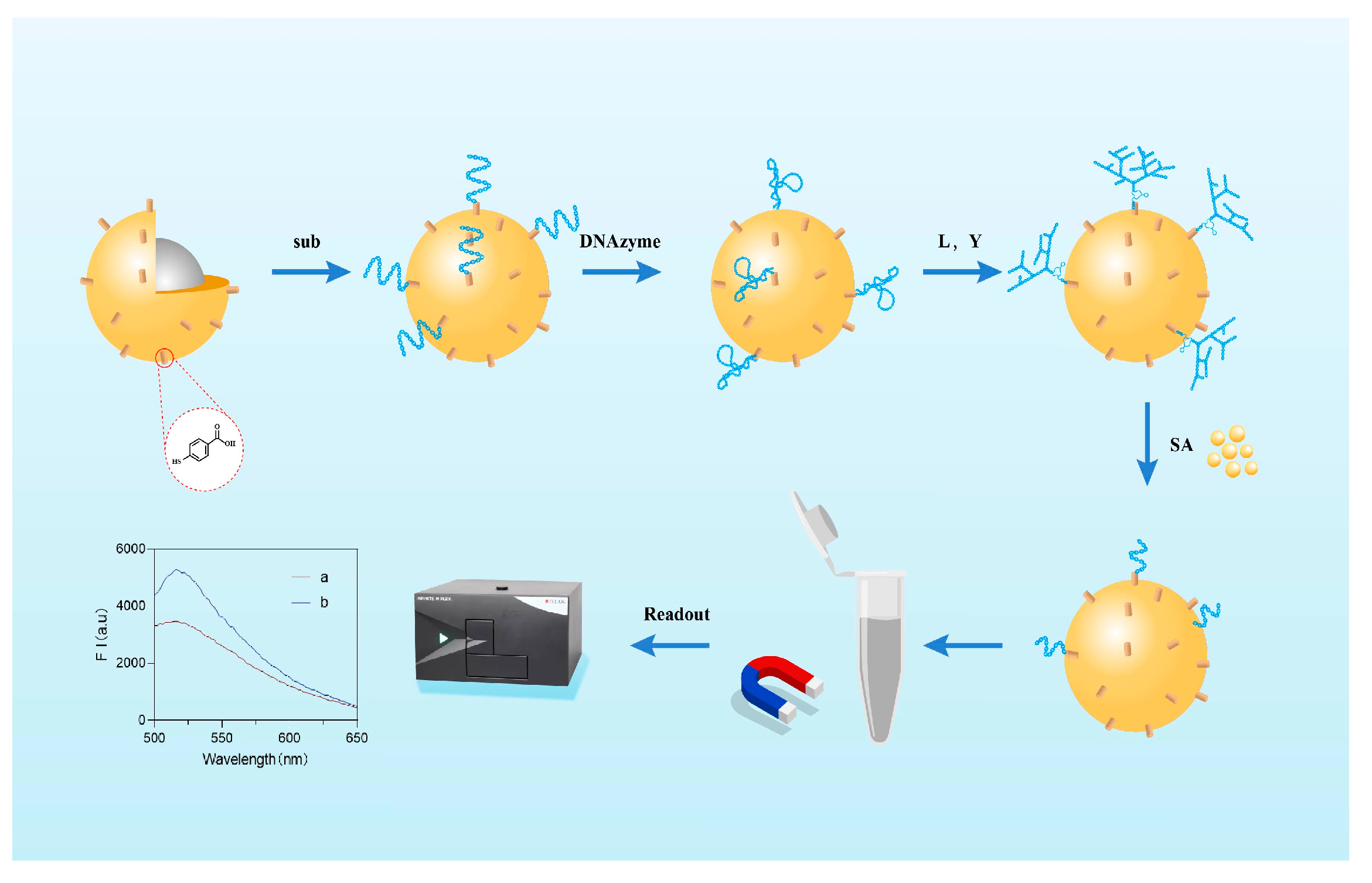 Biosensors 15 00527 g001