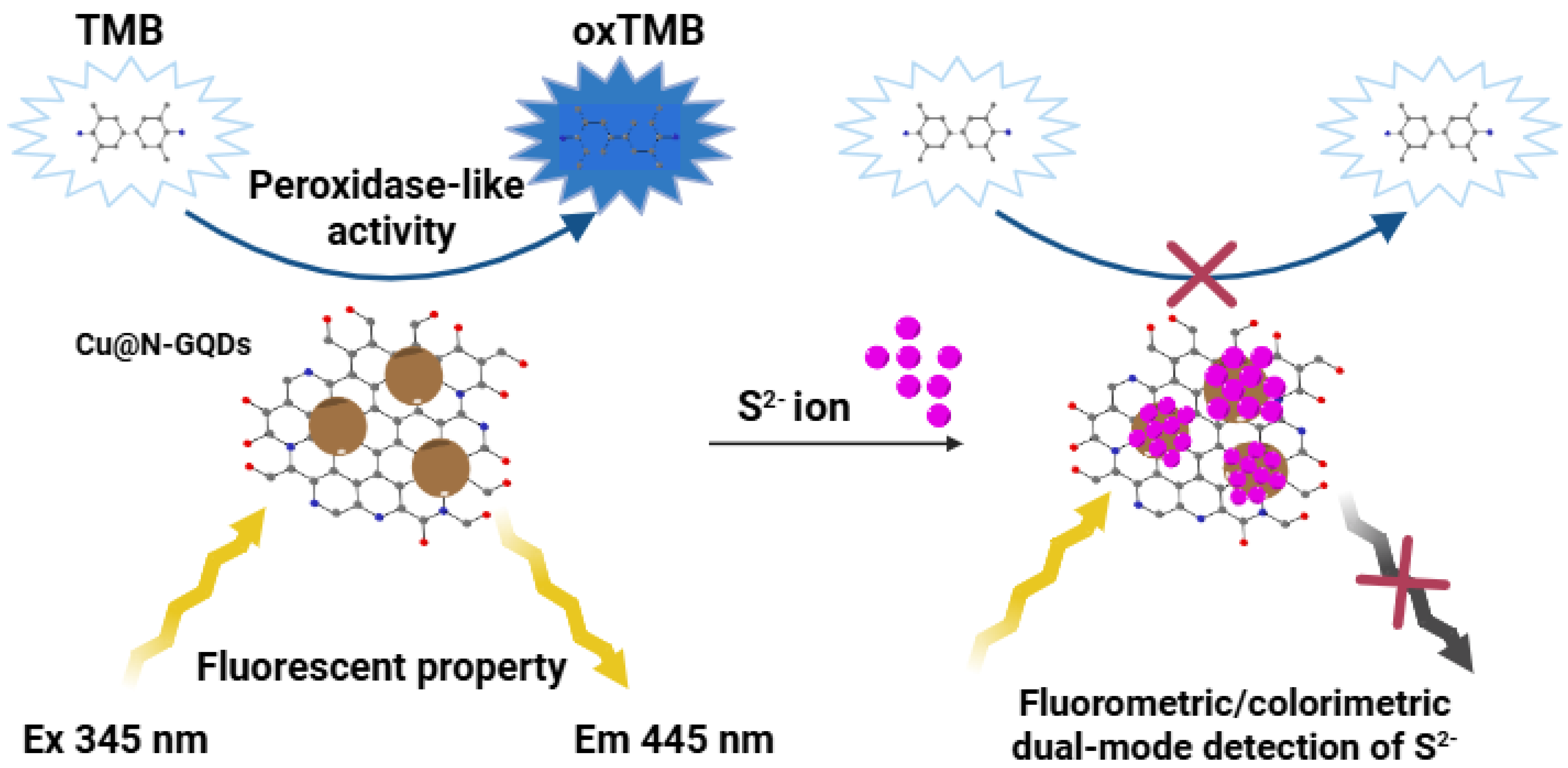 Biosensors 15 00528 g001 Biosensors 15 00528 g001