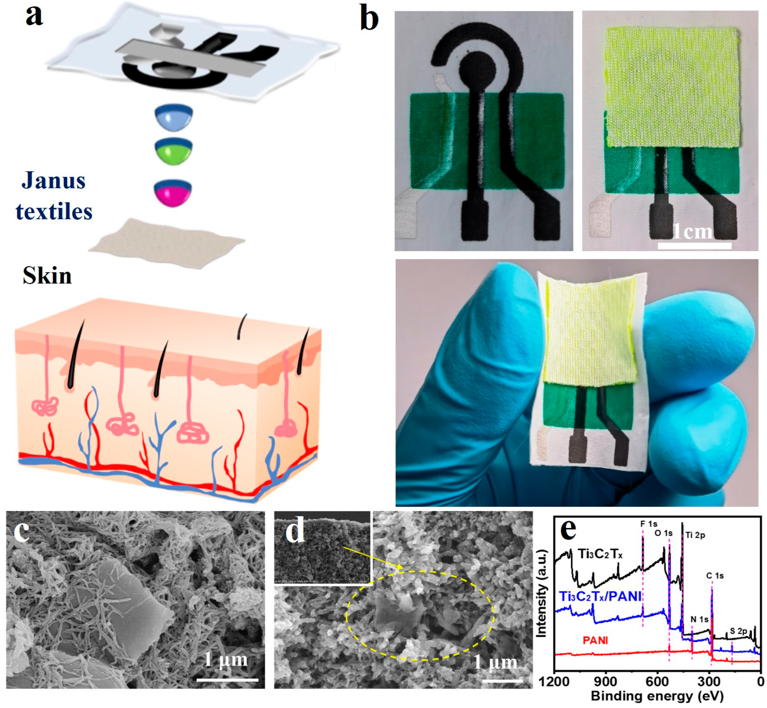 Biosensors 15 00531 g002 Biosensors 15 00531 g002
