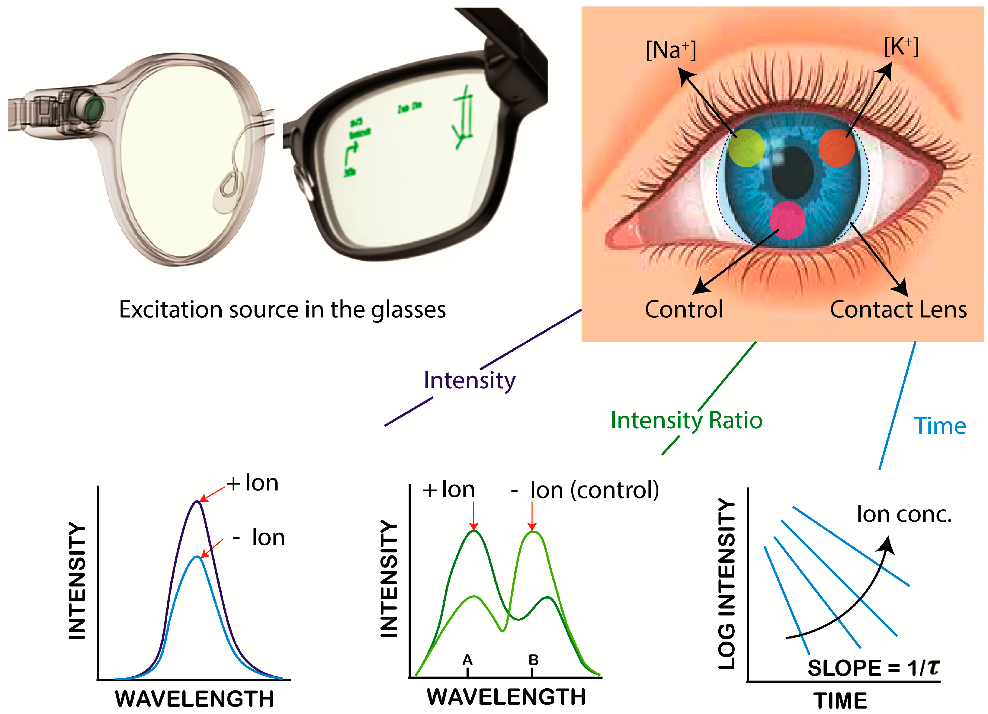 Biosensors 15 00532 g001