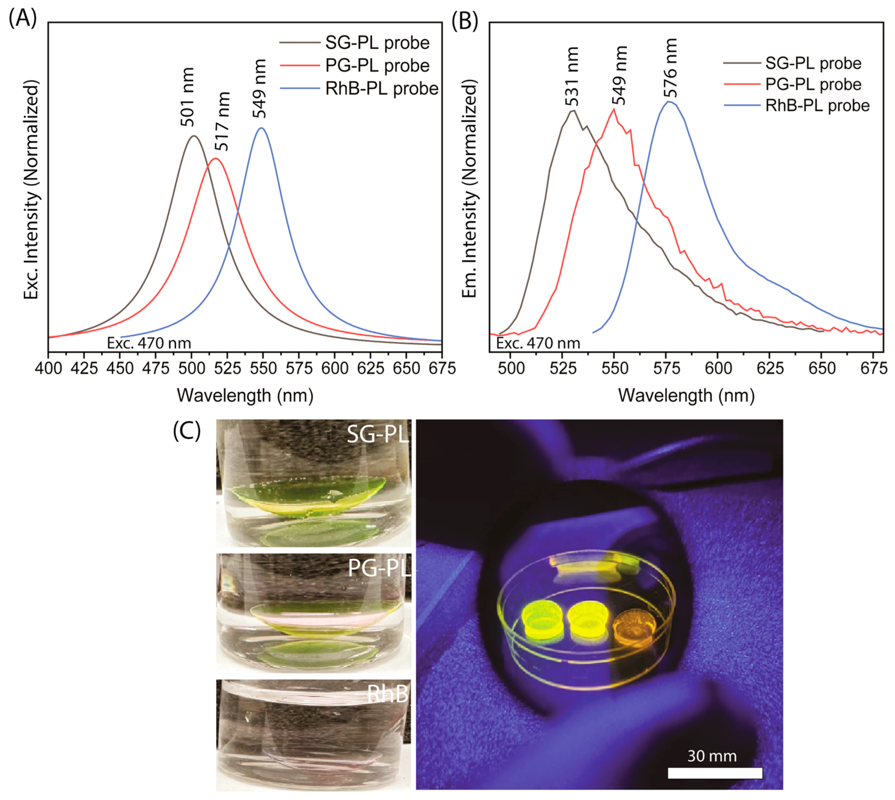 Biosensors 15 00532 g003