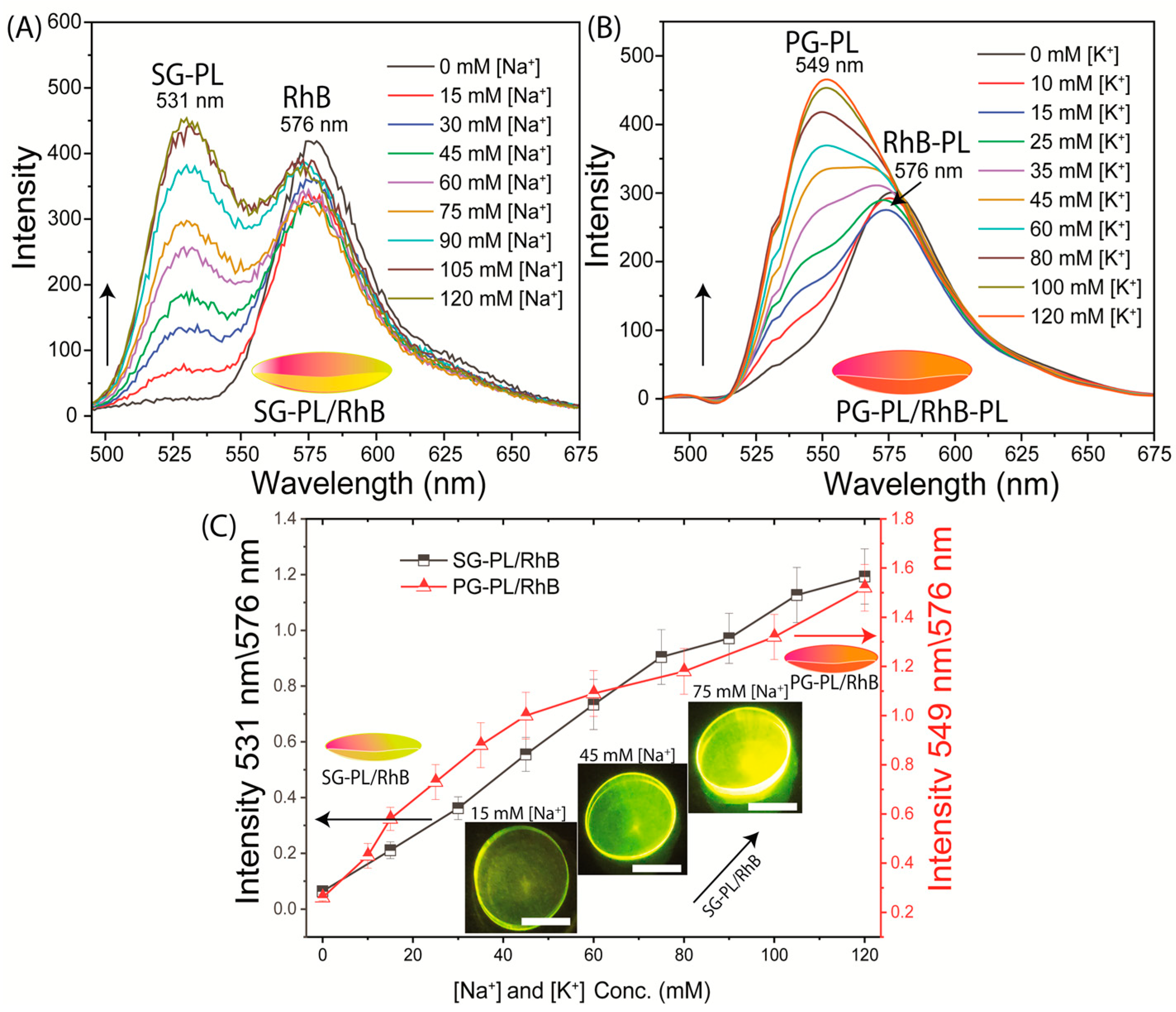 Biosensors 15 00532 g005
