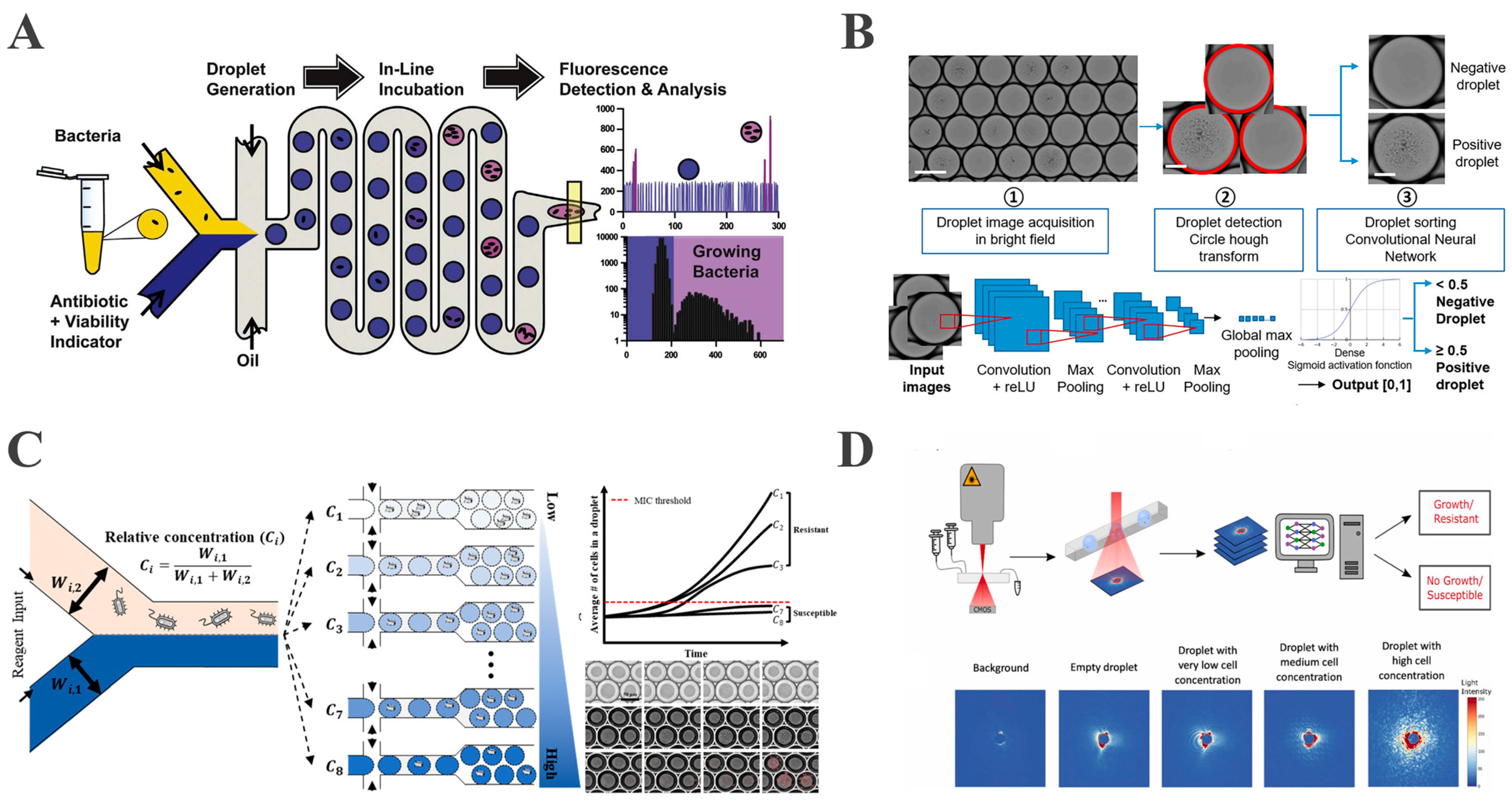 Biosensors 15 00535 g004