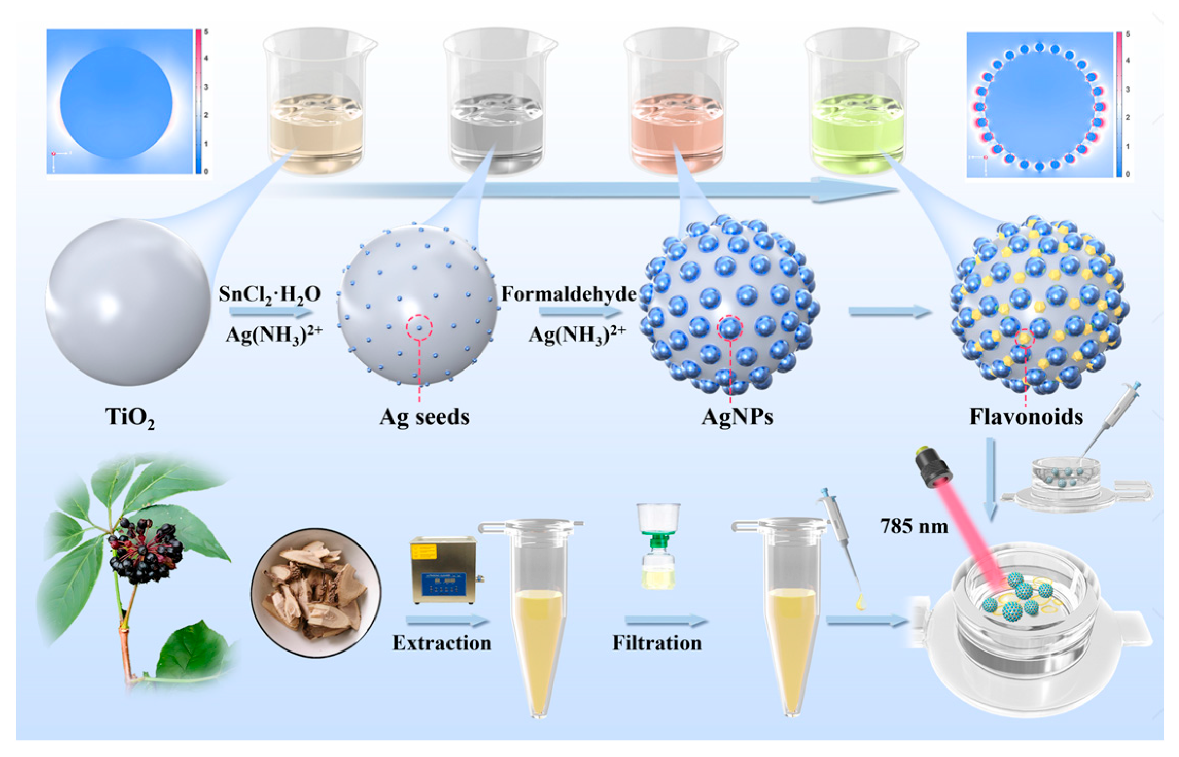 Biosensors 15 00536 g001 Biosensors 15 00536 g001