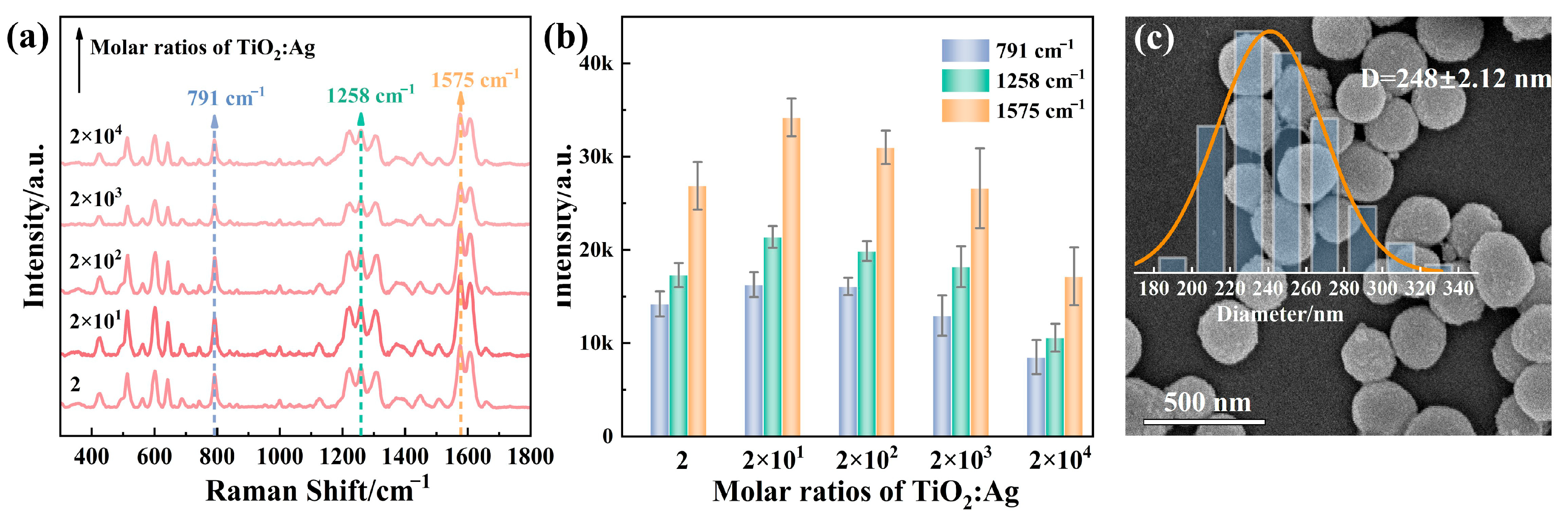 Biosensors 15 00536 g002 Biosensors 15 00536 g002
