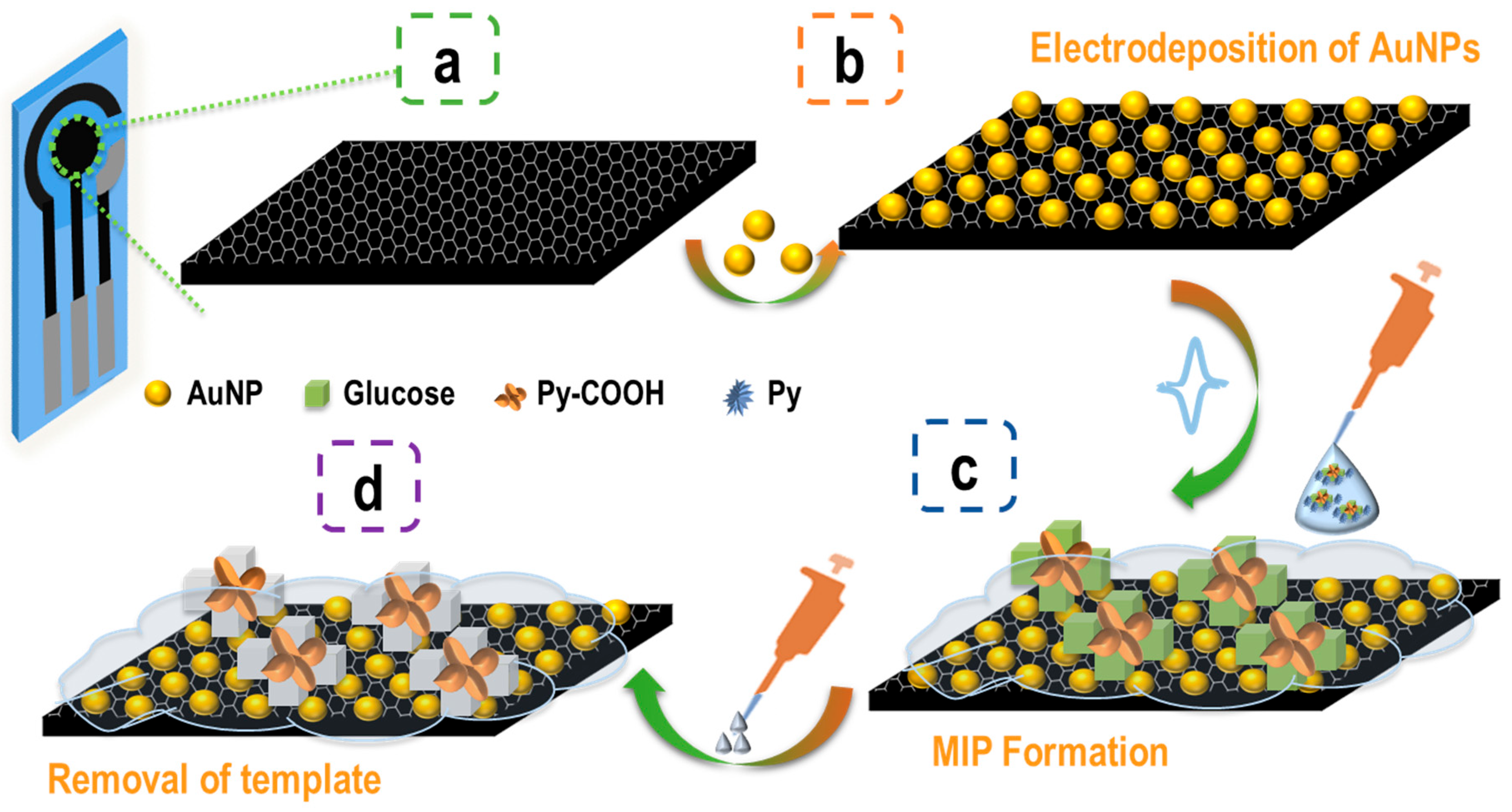 Biosensors 15 00537 g001