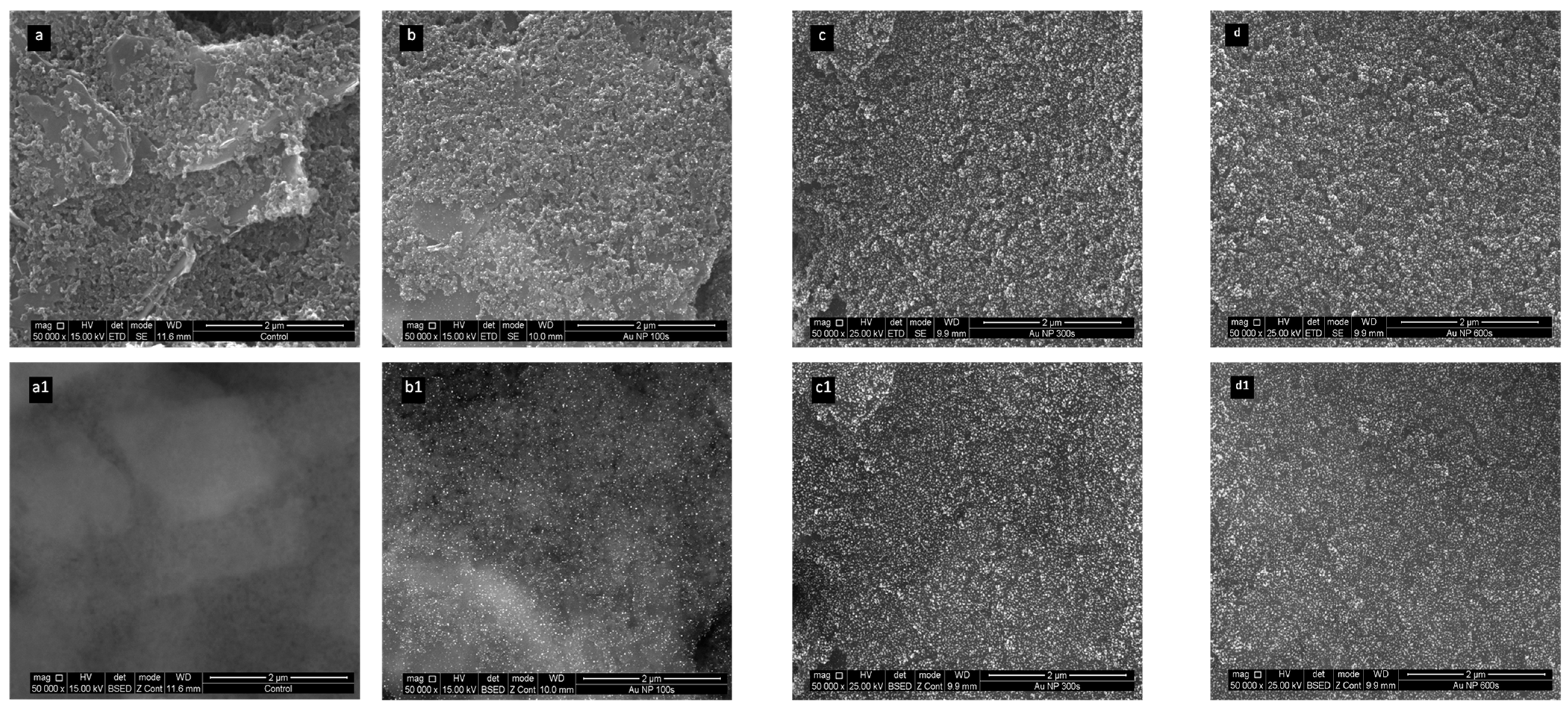 Biosensors 15 00537 g002