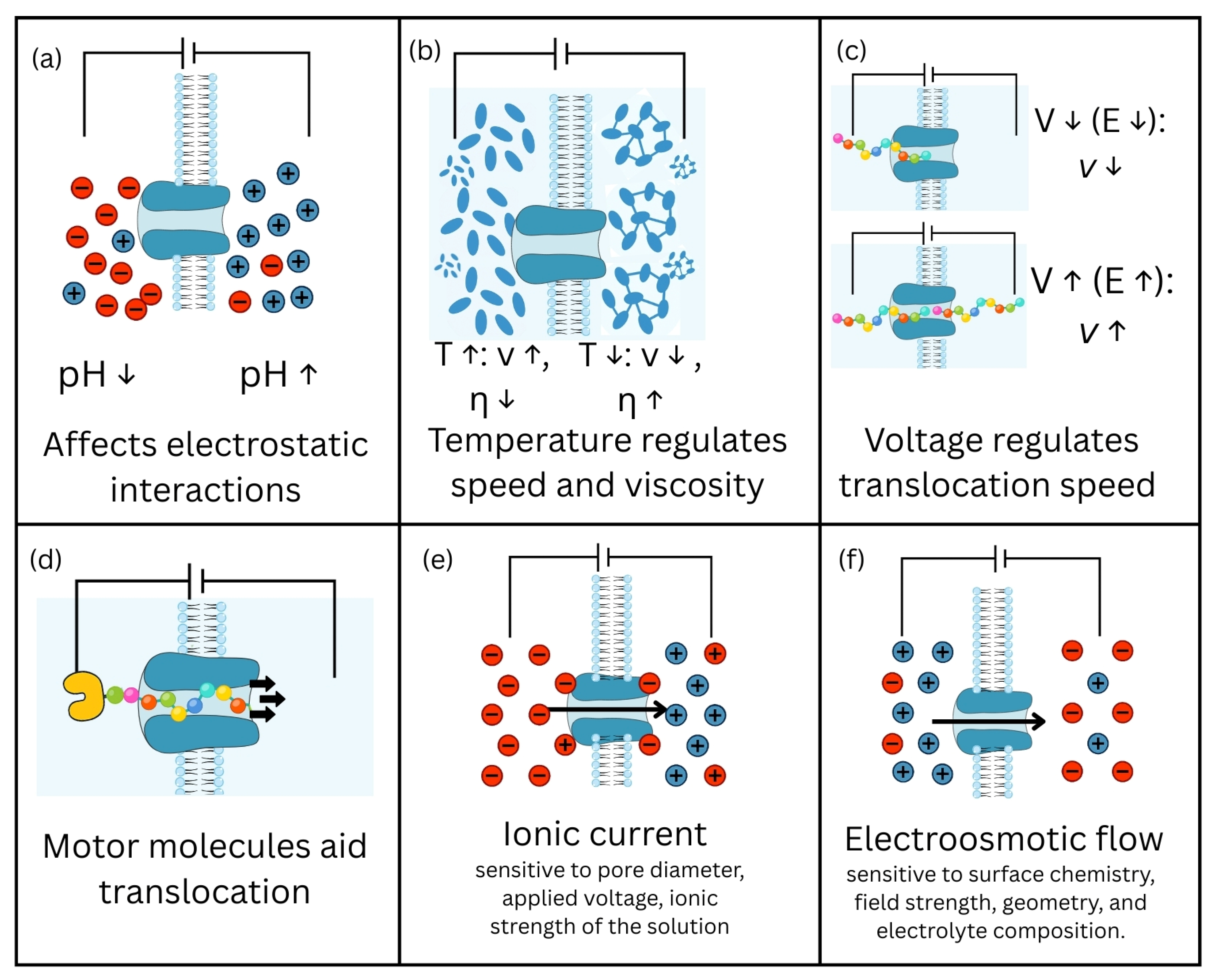 Biosensors 15 00540 g002