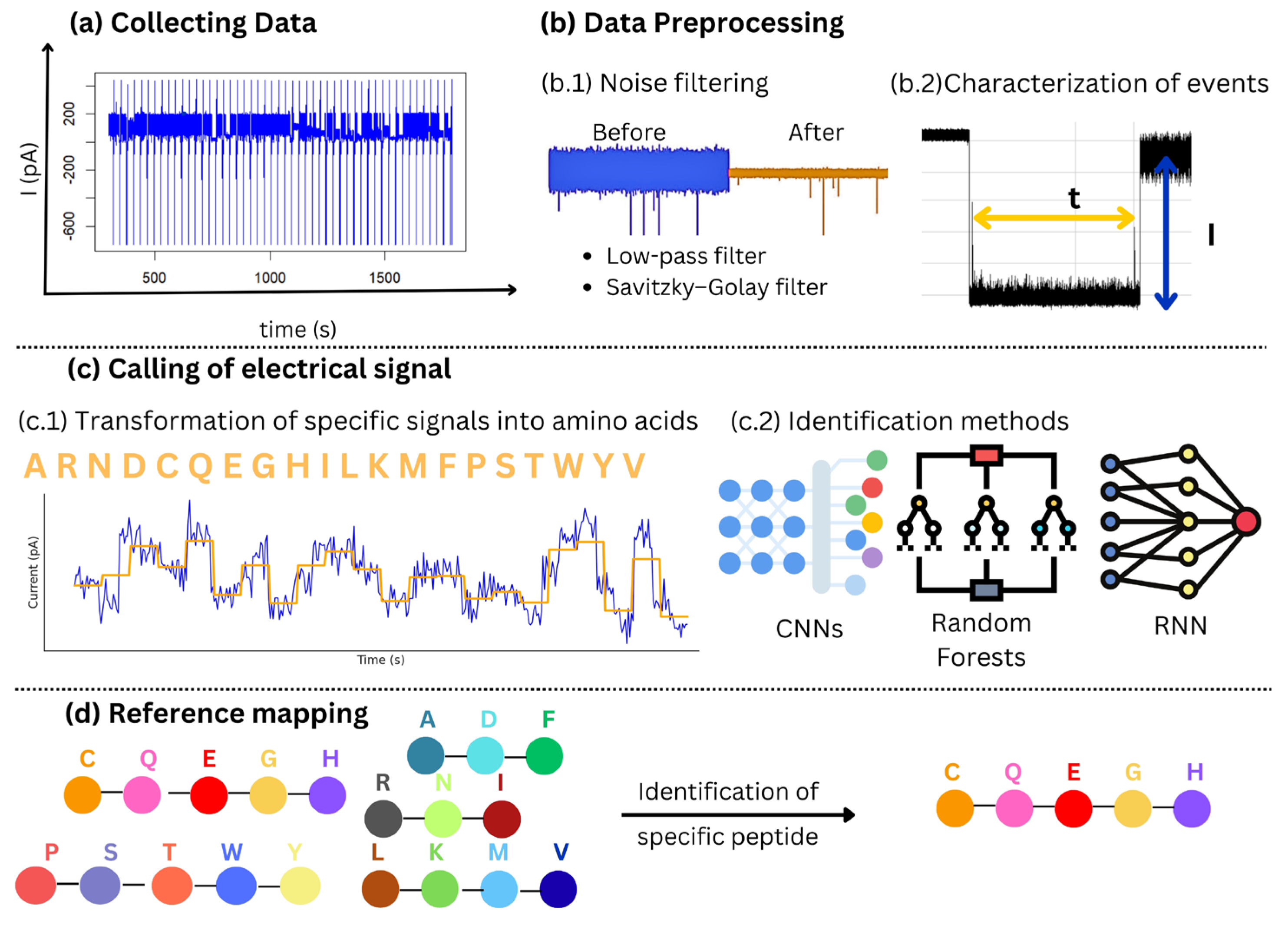Biosensors 15 00540 g004