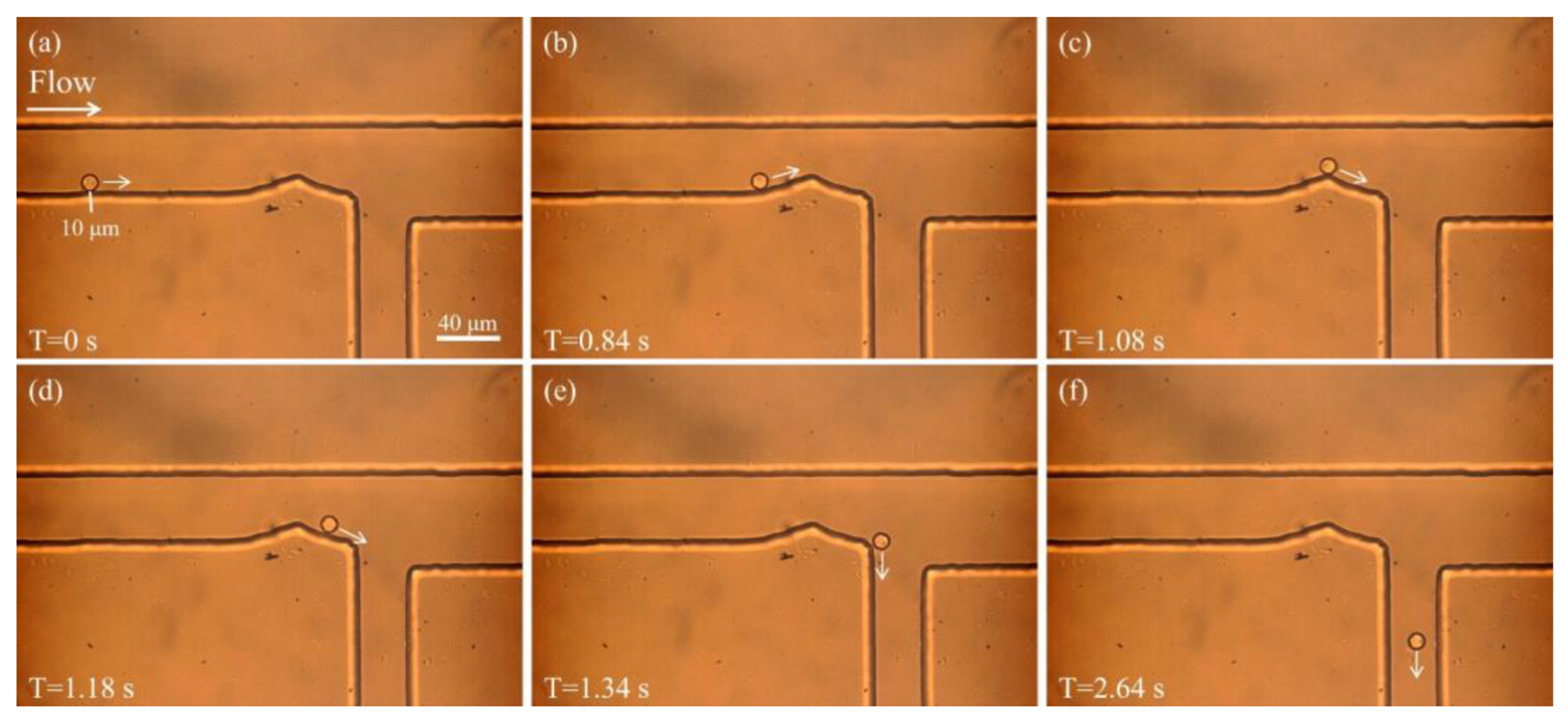 Biosensors 15 00541 g002
