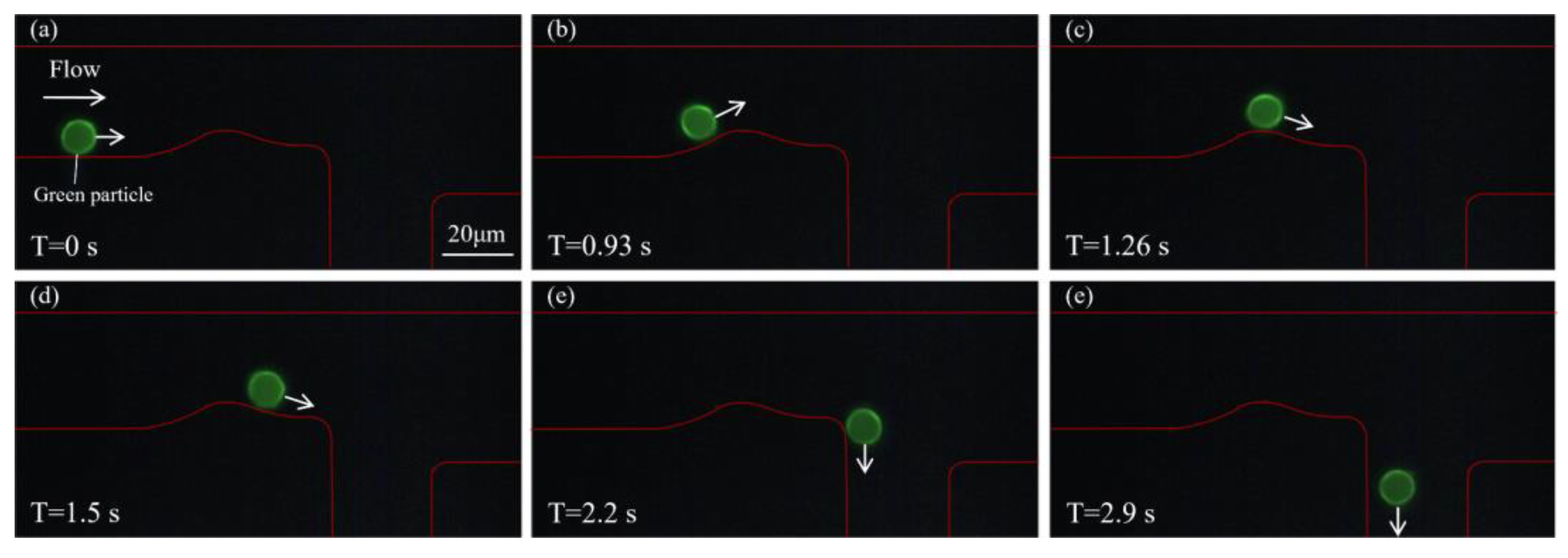 Biosensors 15 00541 g005