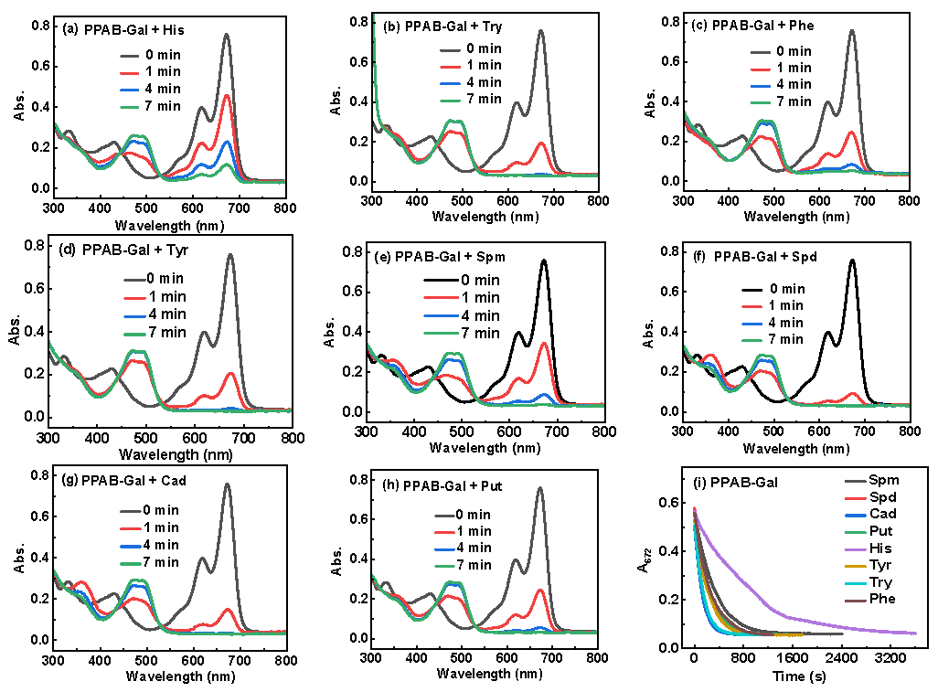 Biosensors 15 00542 g001a Biosensors 15 00542 g001a