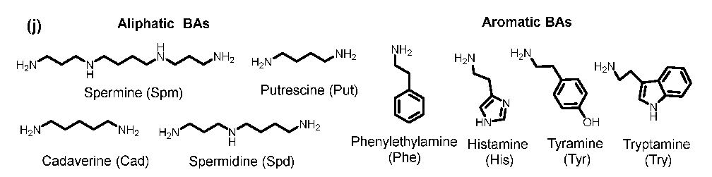 Biosensors 15 00542 g001b Biosensors 15 00542 g001b