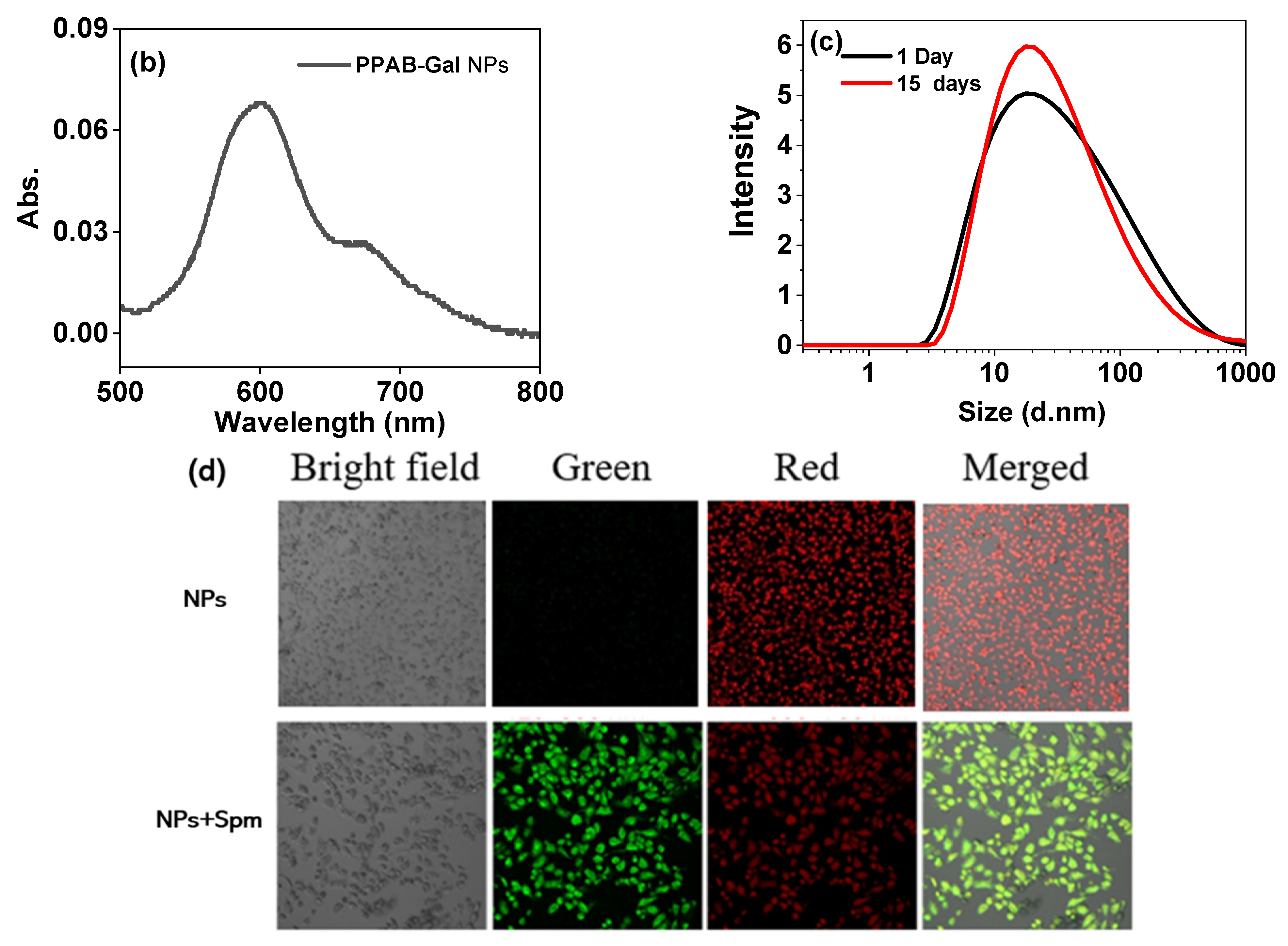 Biosensors 15 00542 g007b Biosensors 15 00542 g007b