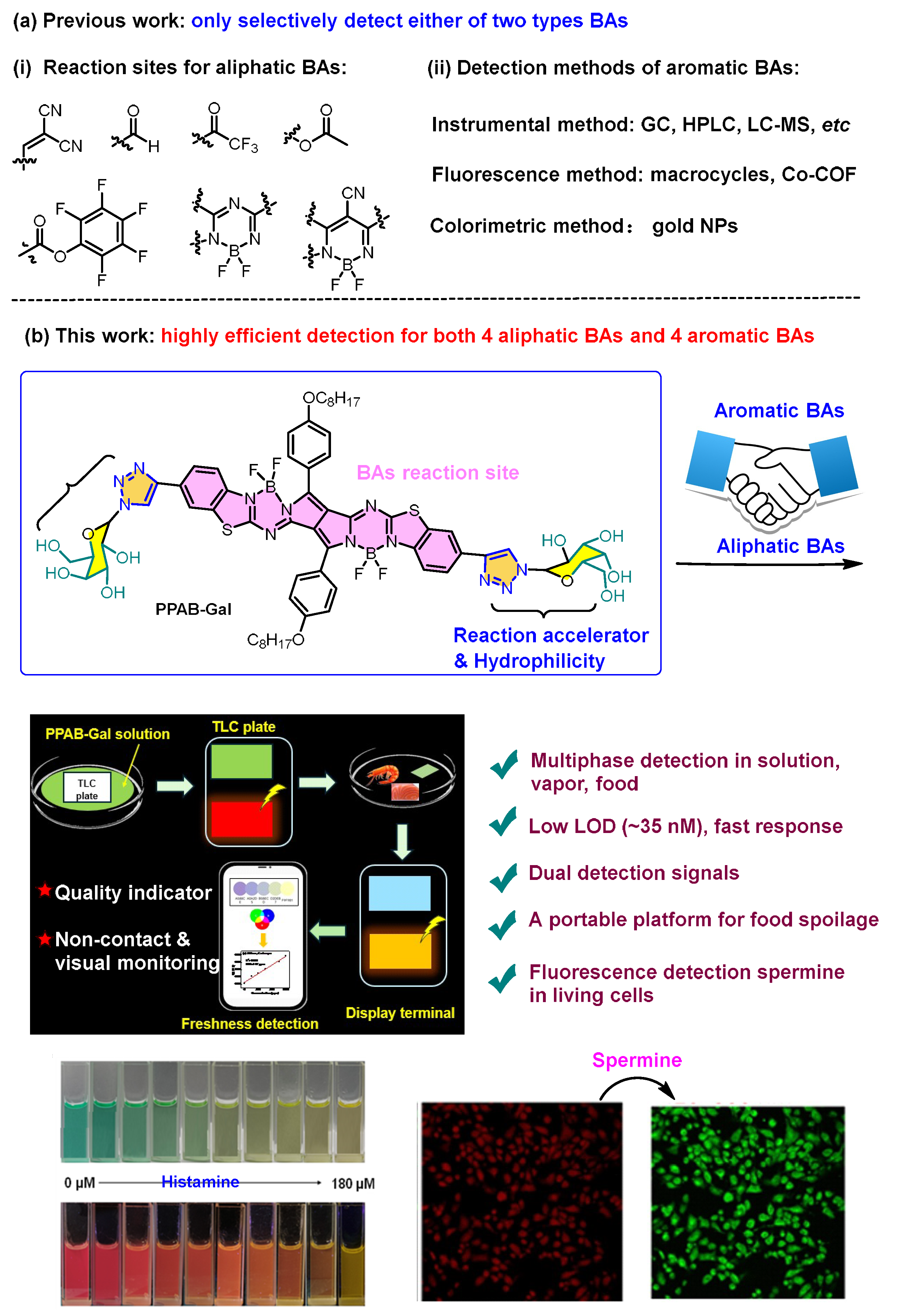 Biosensors 15 00542 sch001 Biosensors 15 00542 sch001