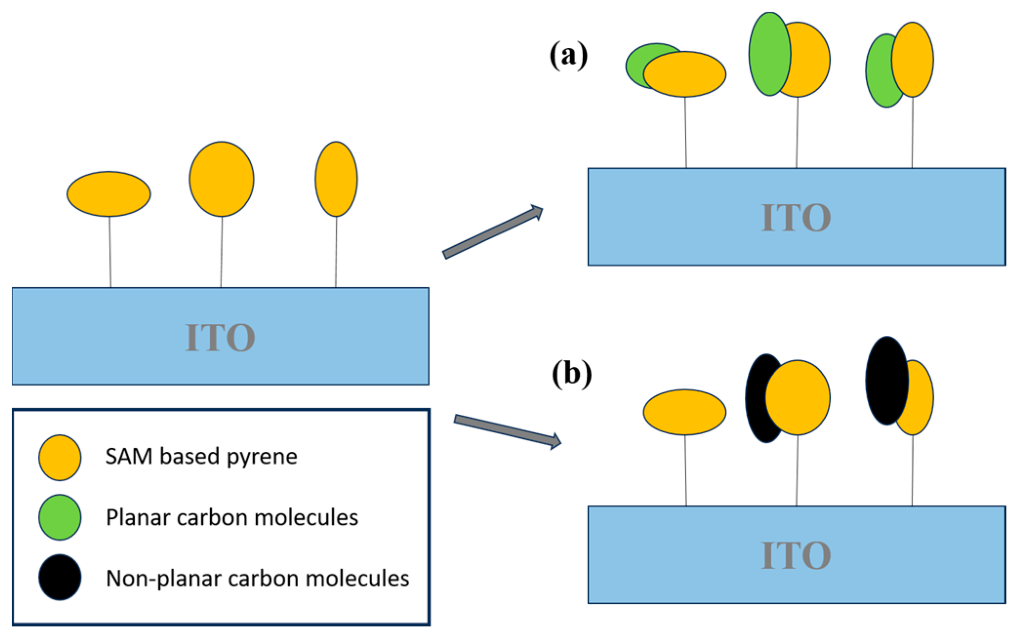 Biosensors 15 00547 g008