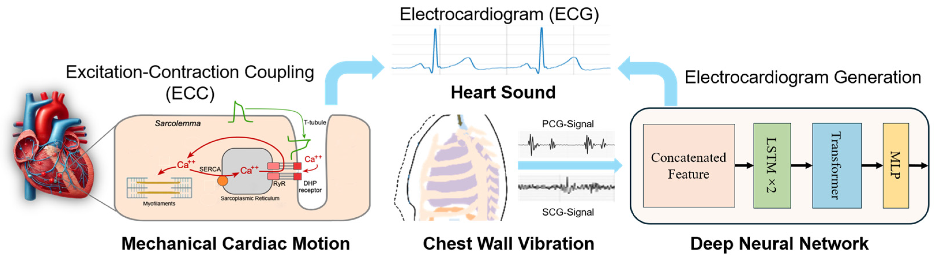 Biosensors 15 00550 g001