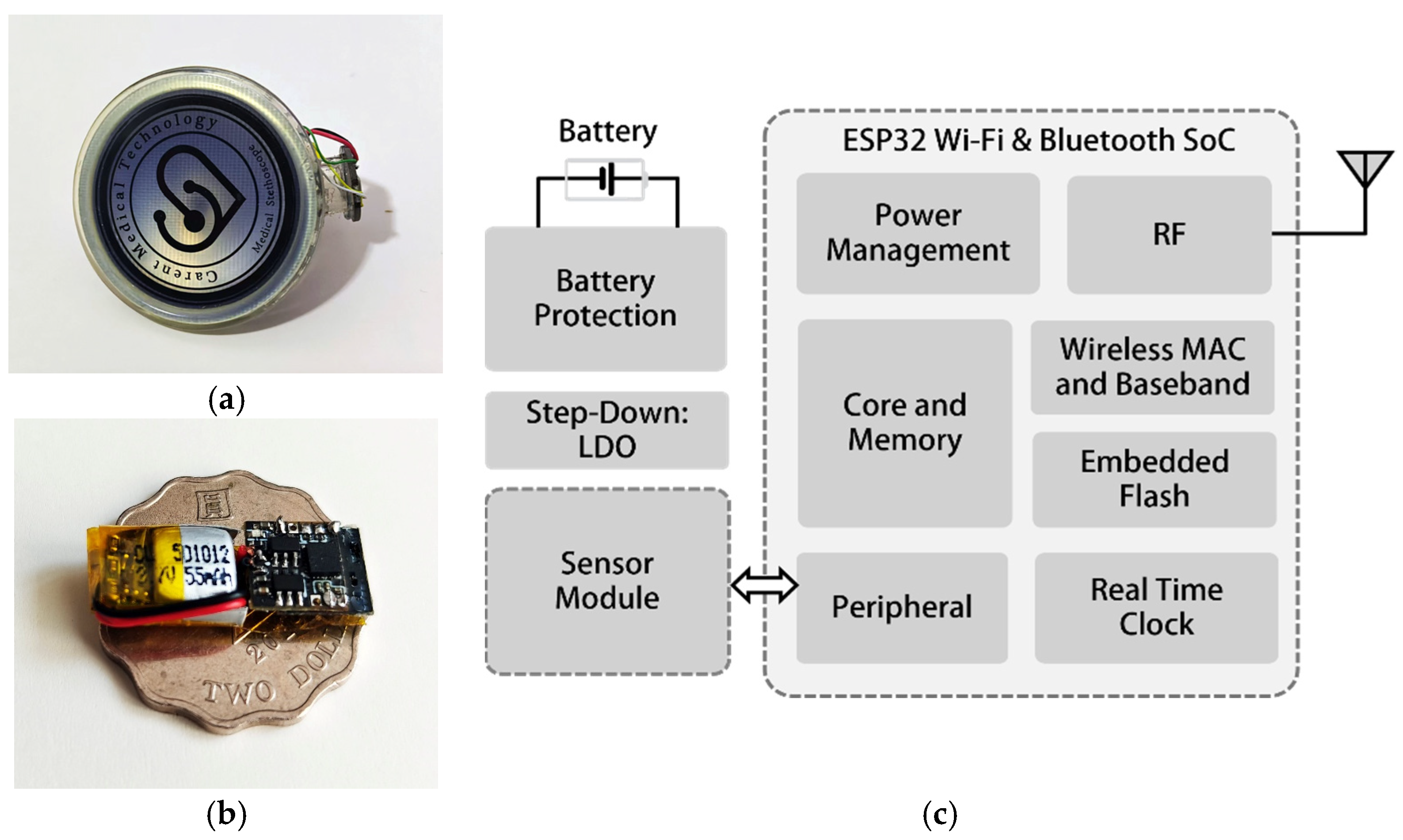 Biosensors 15 00550 g003