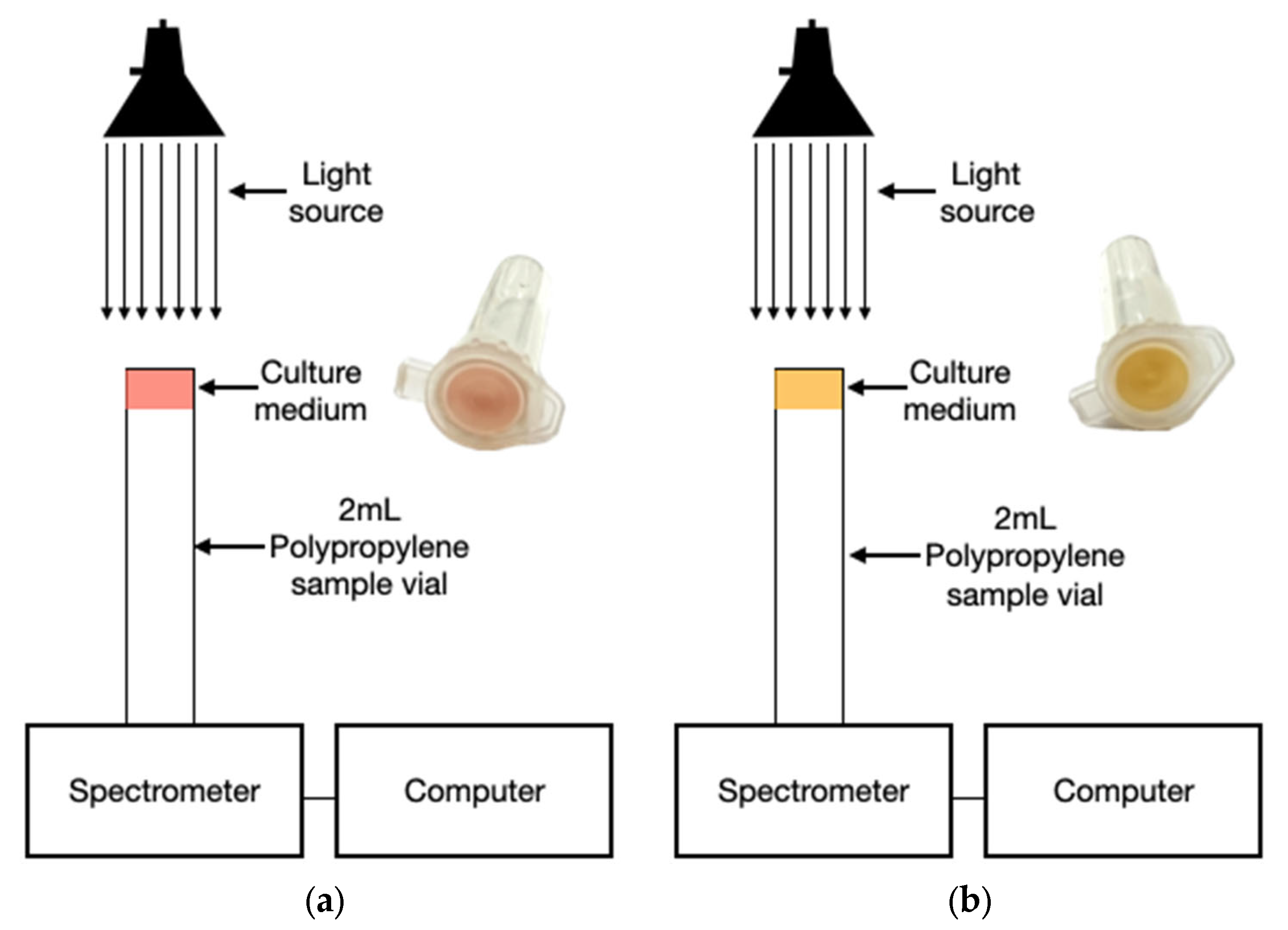 Biosensors 15 00551 g002 Biosensors 15 00551 g002