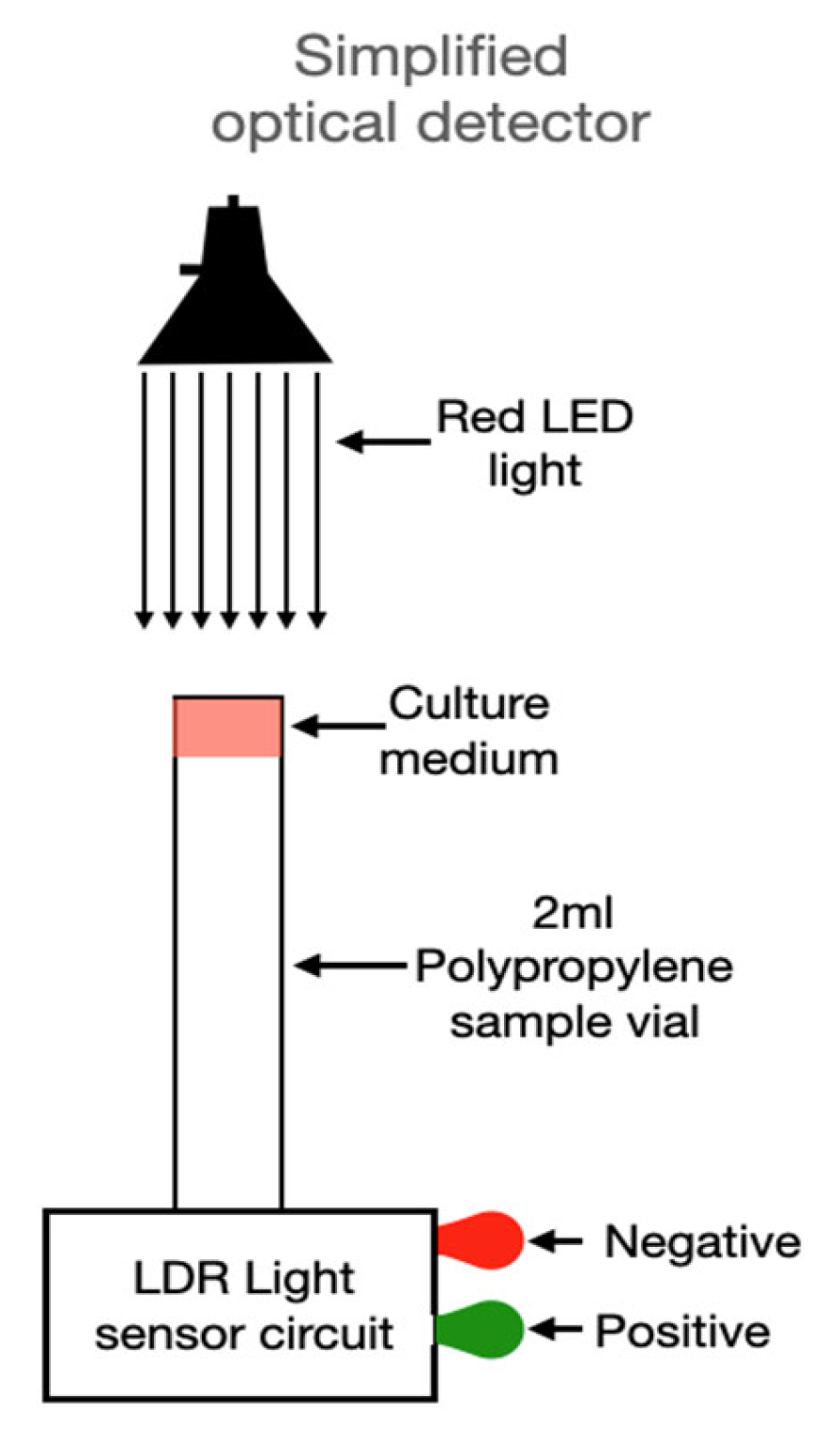 Biosensors 15 00551 g007 Biosensors 15 00551 g007