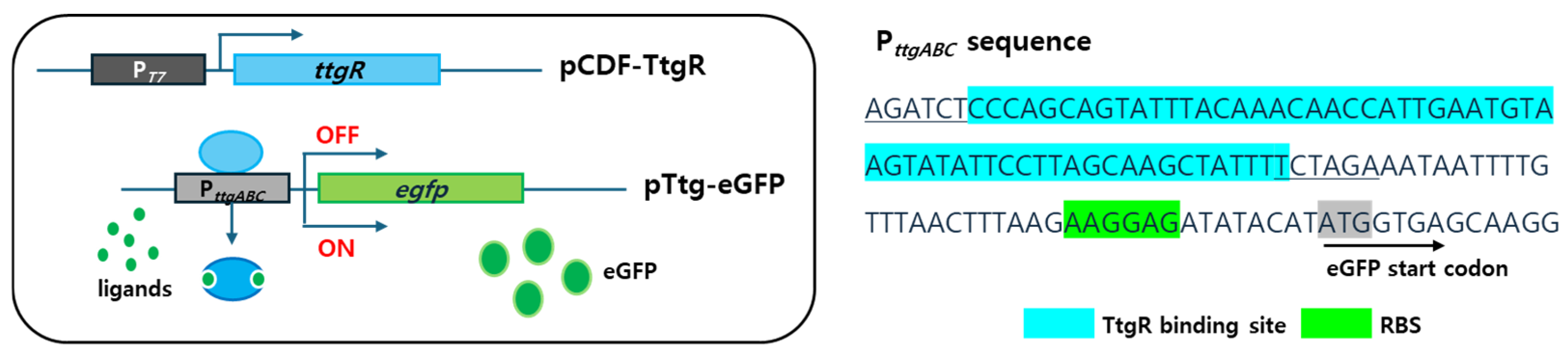 Biosensors 15 00554 g002