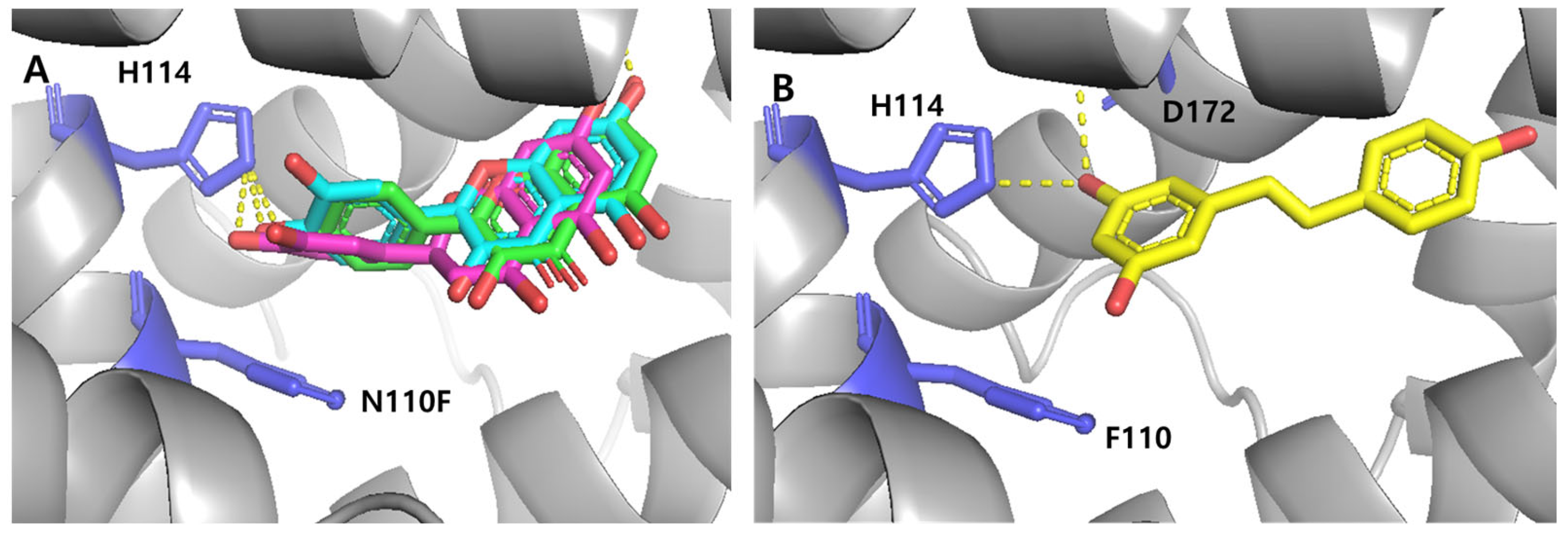 Biosensors 15 00554 g007