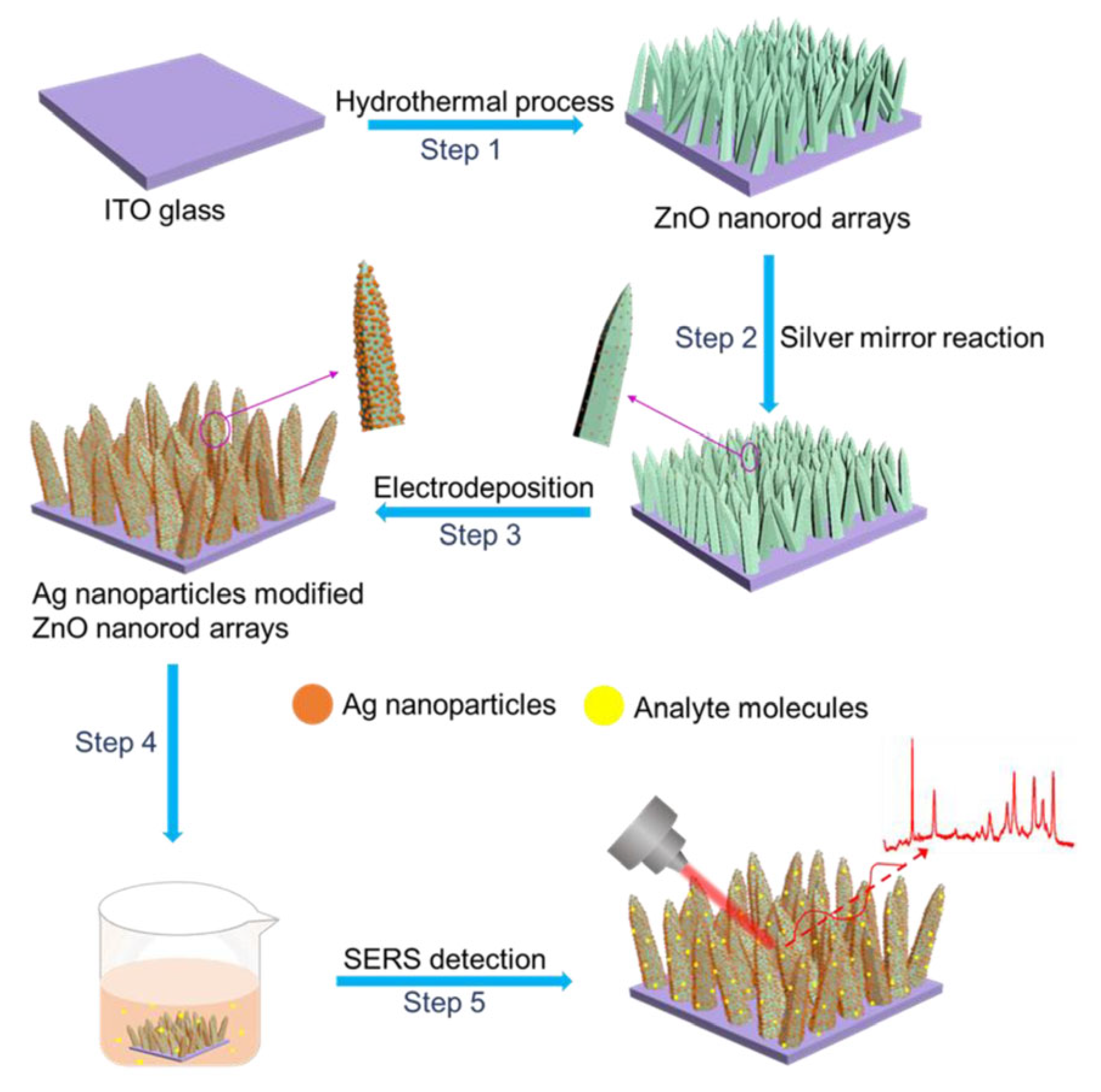 Biosensors 15 00555 g004 Biosensors 15 00555 g004