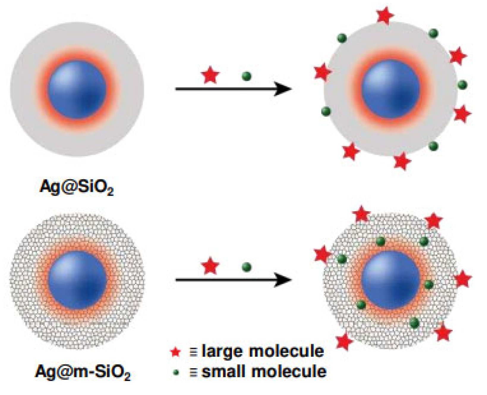 Biosensors 15 00555 g006 Biosensors 15 00555 g006