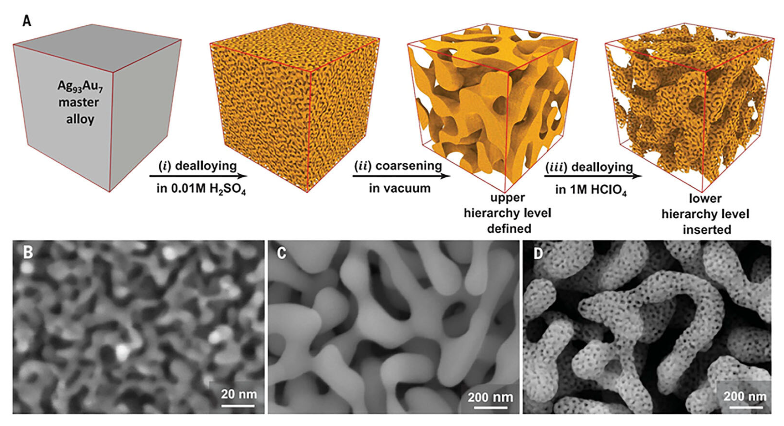 Biosensors 15 00555 g011 Biosensors 15 00555 g011