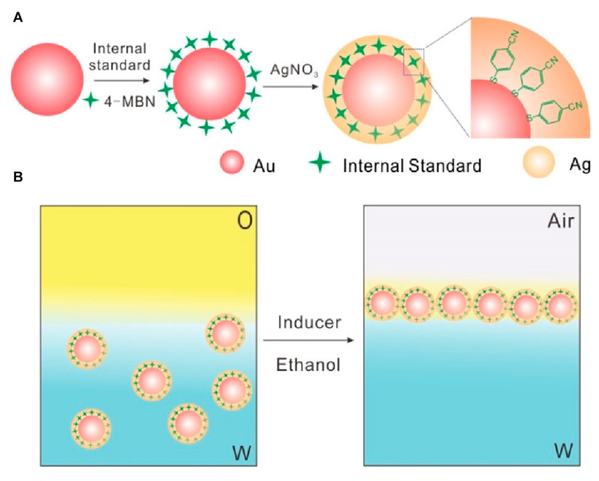 Biosensors 15 00555 g013 Biosensors 15 00555 g013