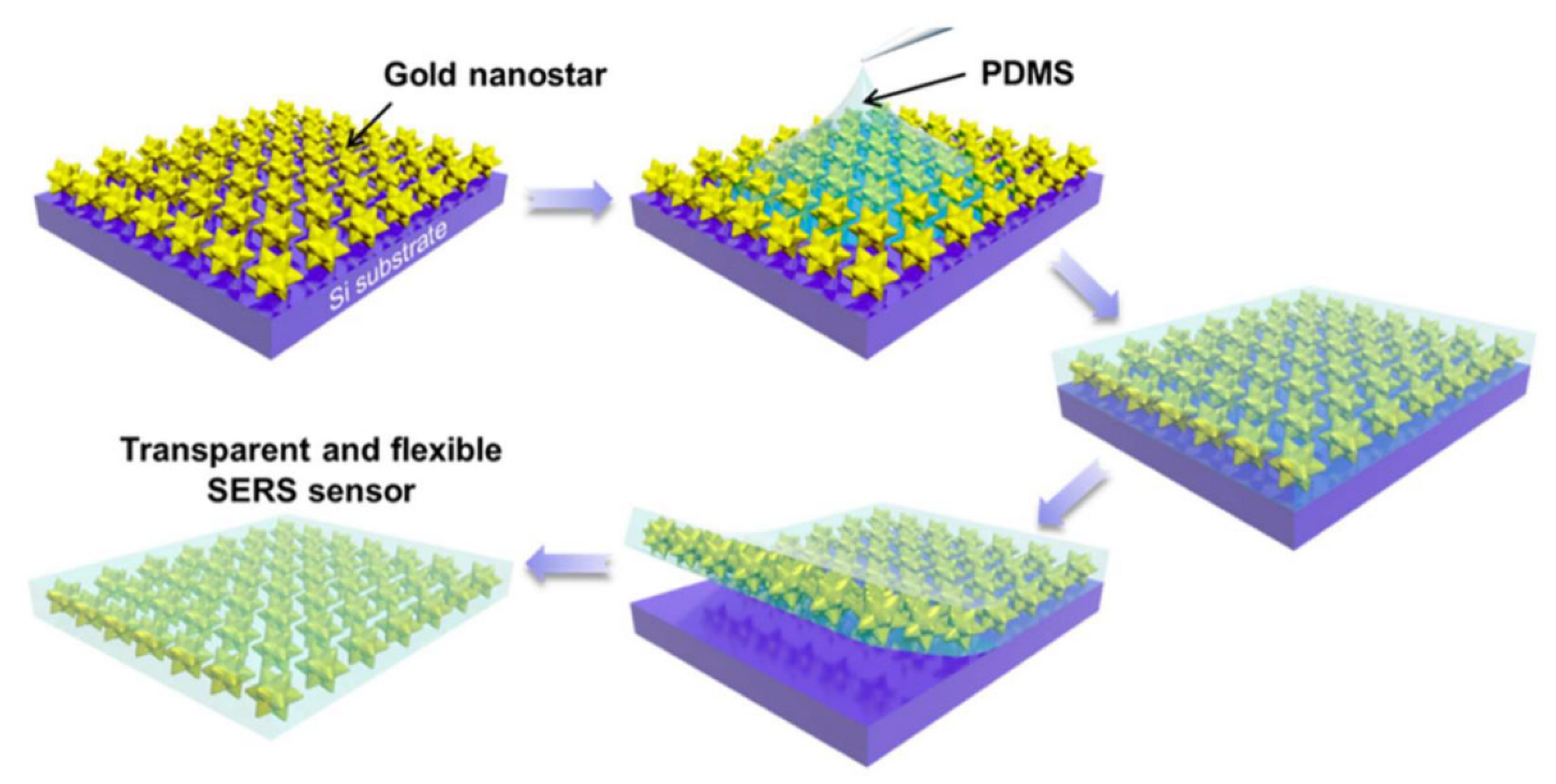 Biosensors 15 00555 g014 Biosensors 15 00555 g014