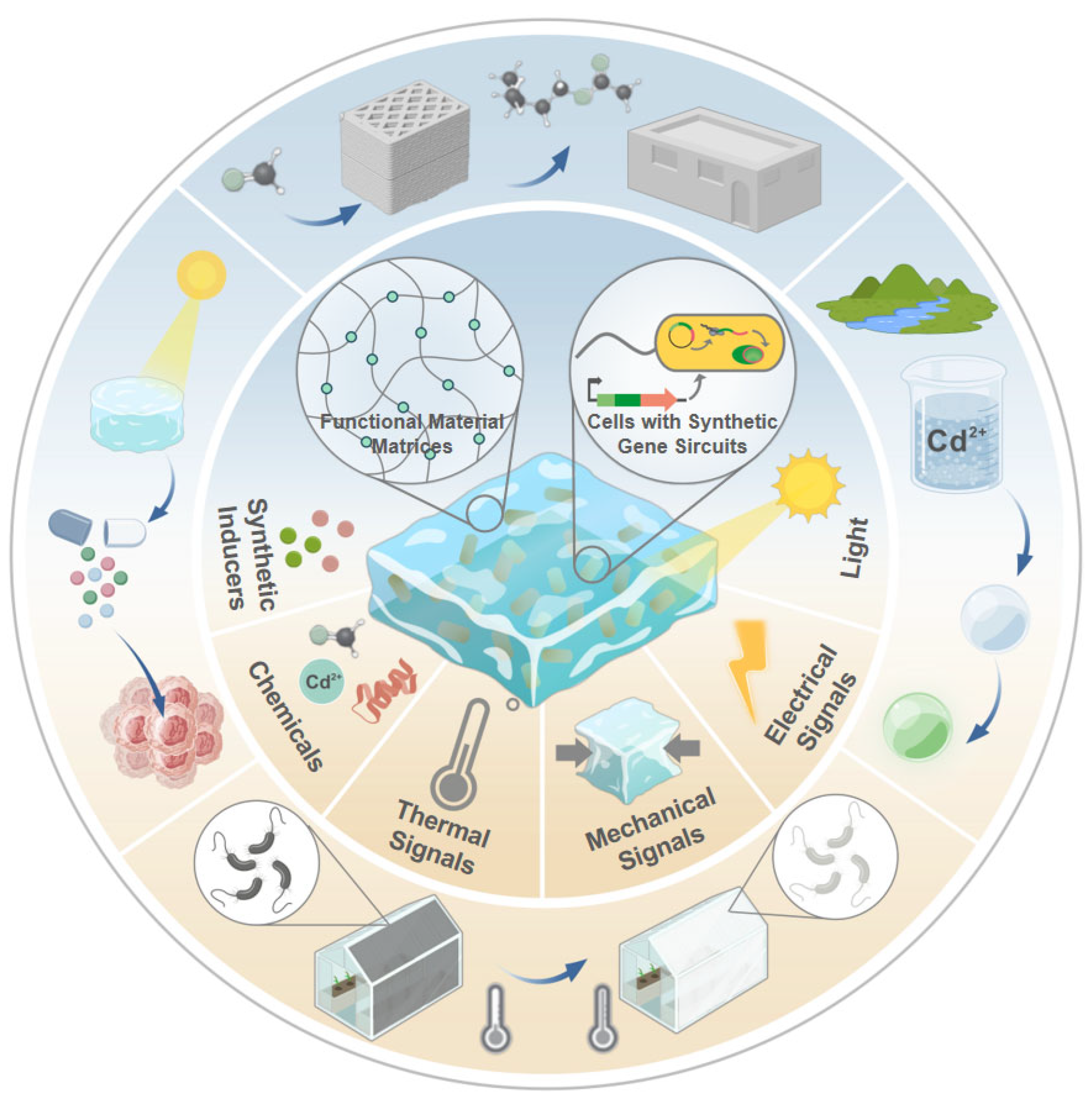 Biosensors 15 00556 g001 Biosensors 15 00556 g001