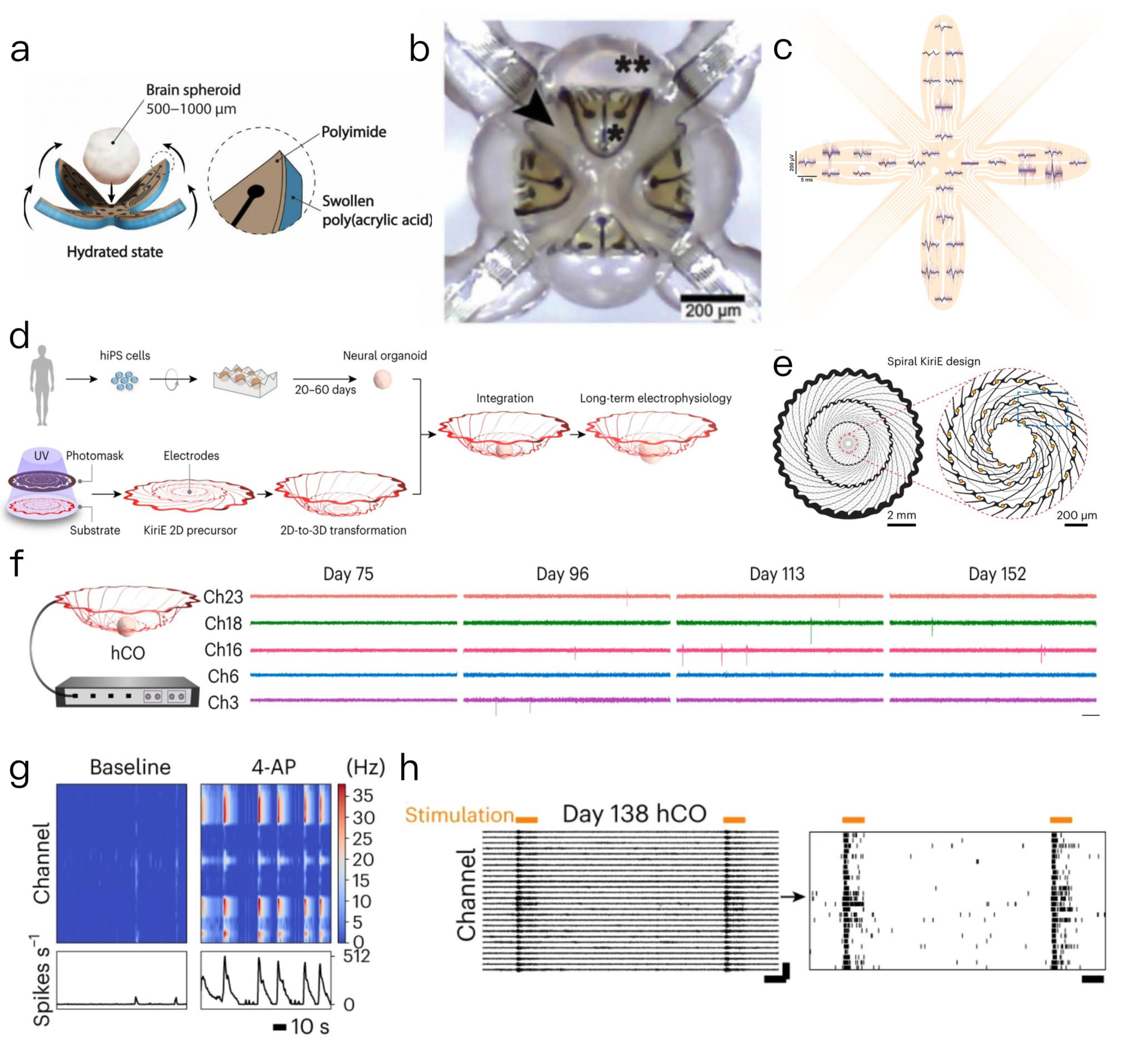 Biosensors 15 00557 g003