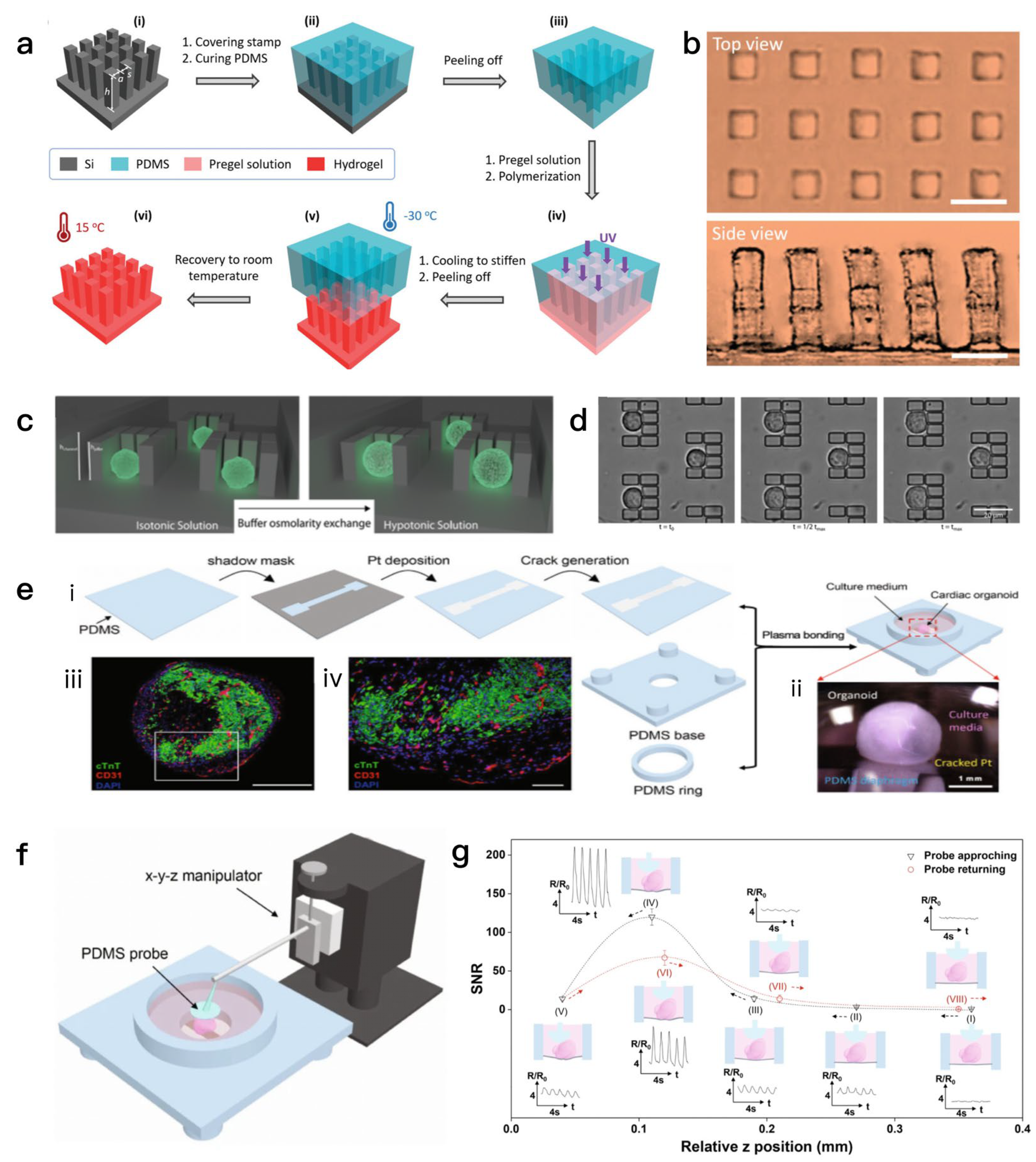 Biosensors 15 00557 g004