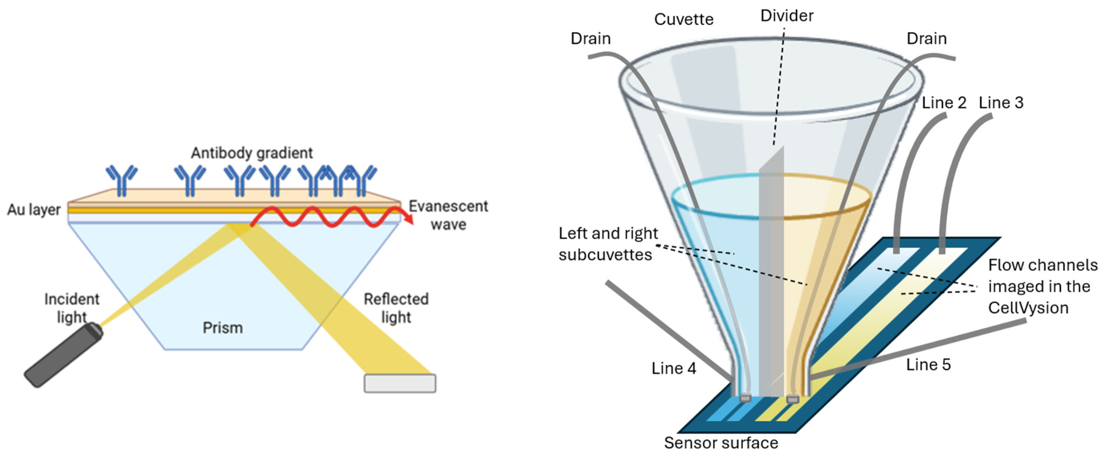 Biosensors 15 00559 g001