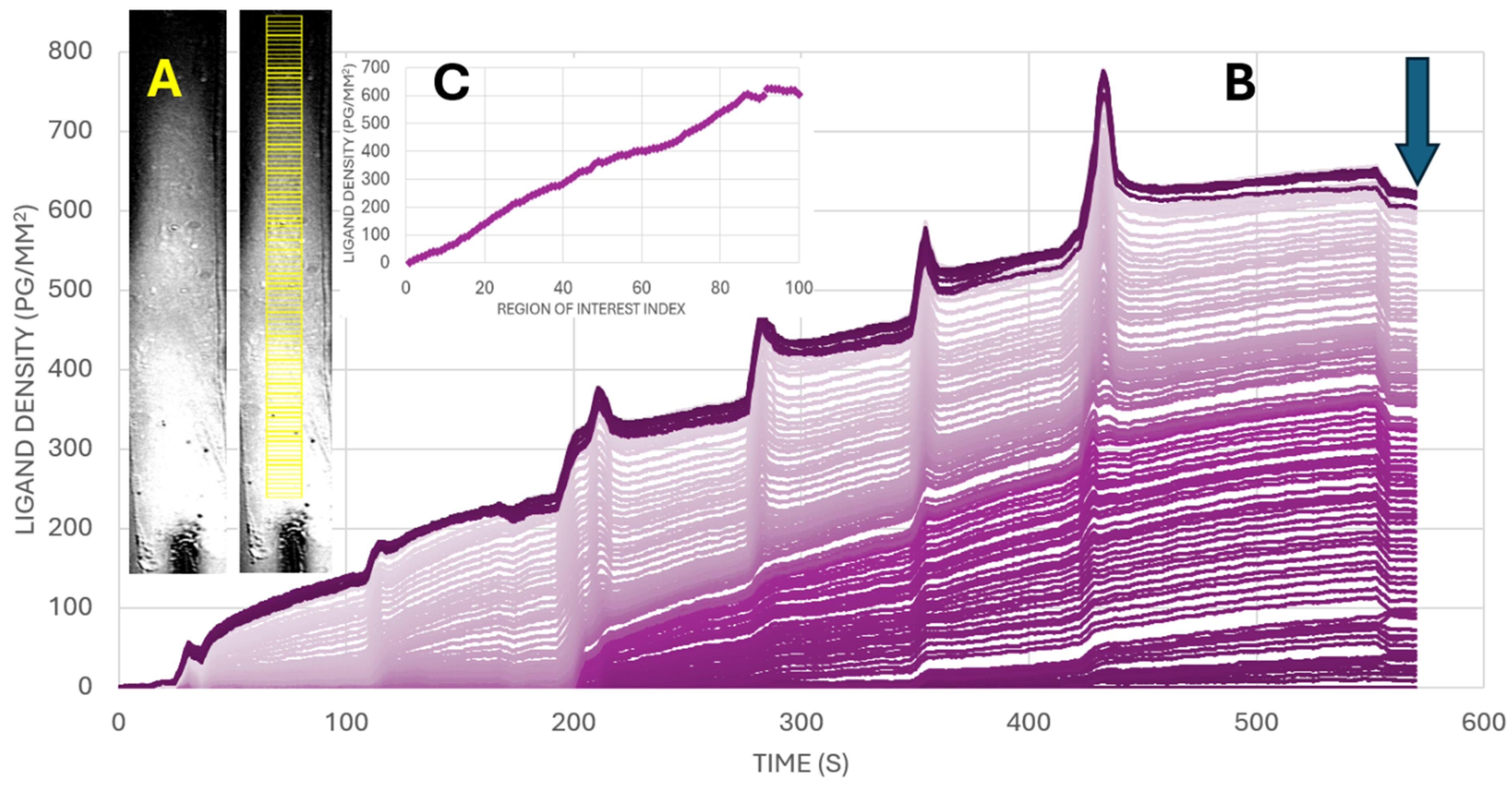 Biosensors 15 00559 g002